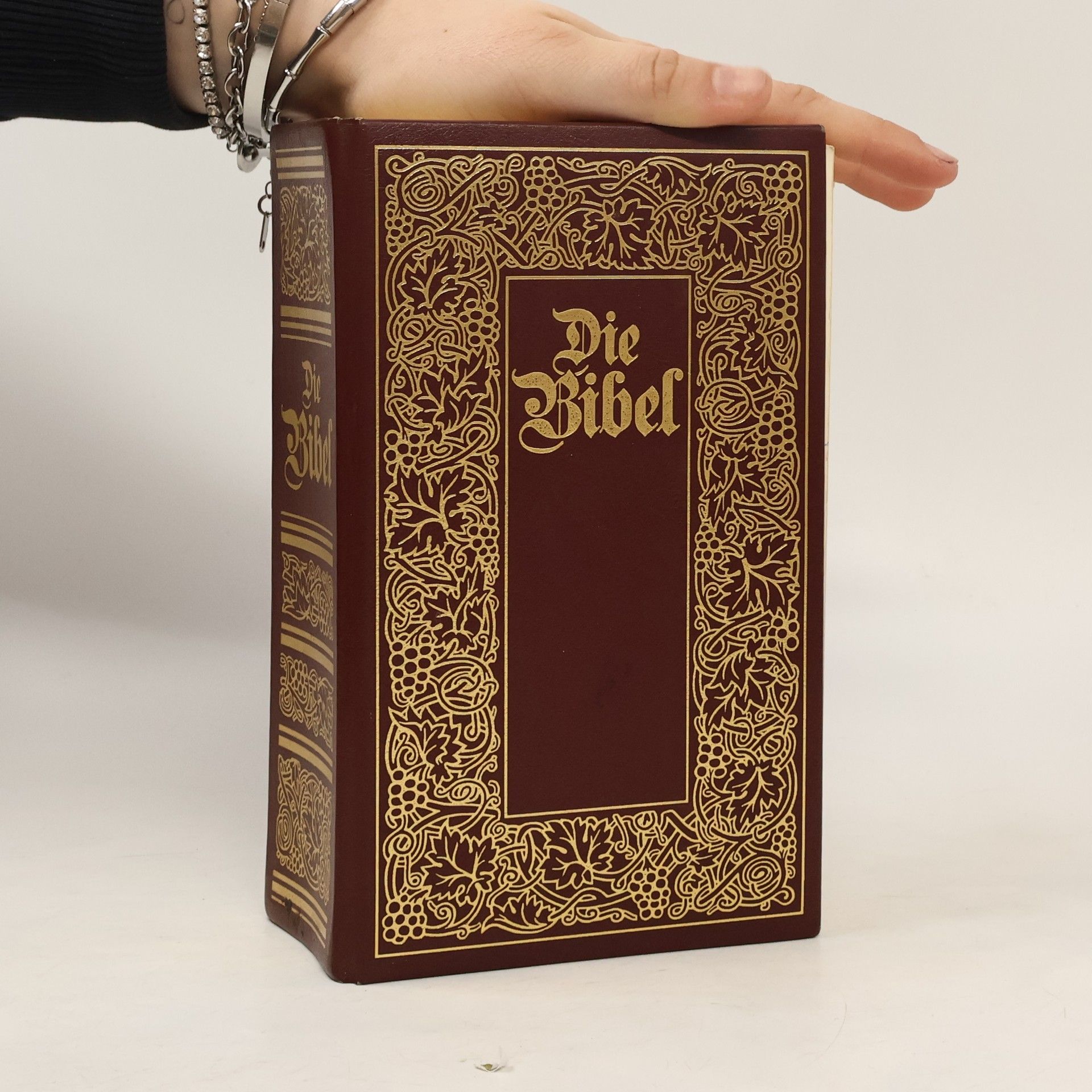 Collectif d'auteurs Die Bibel