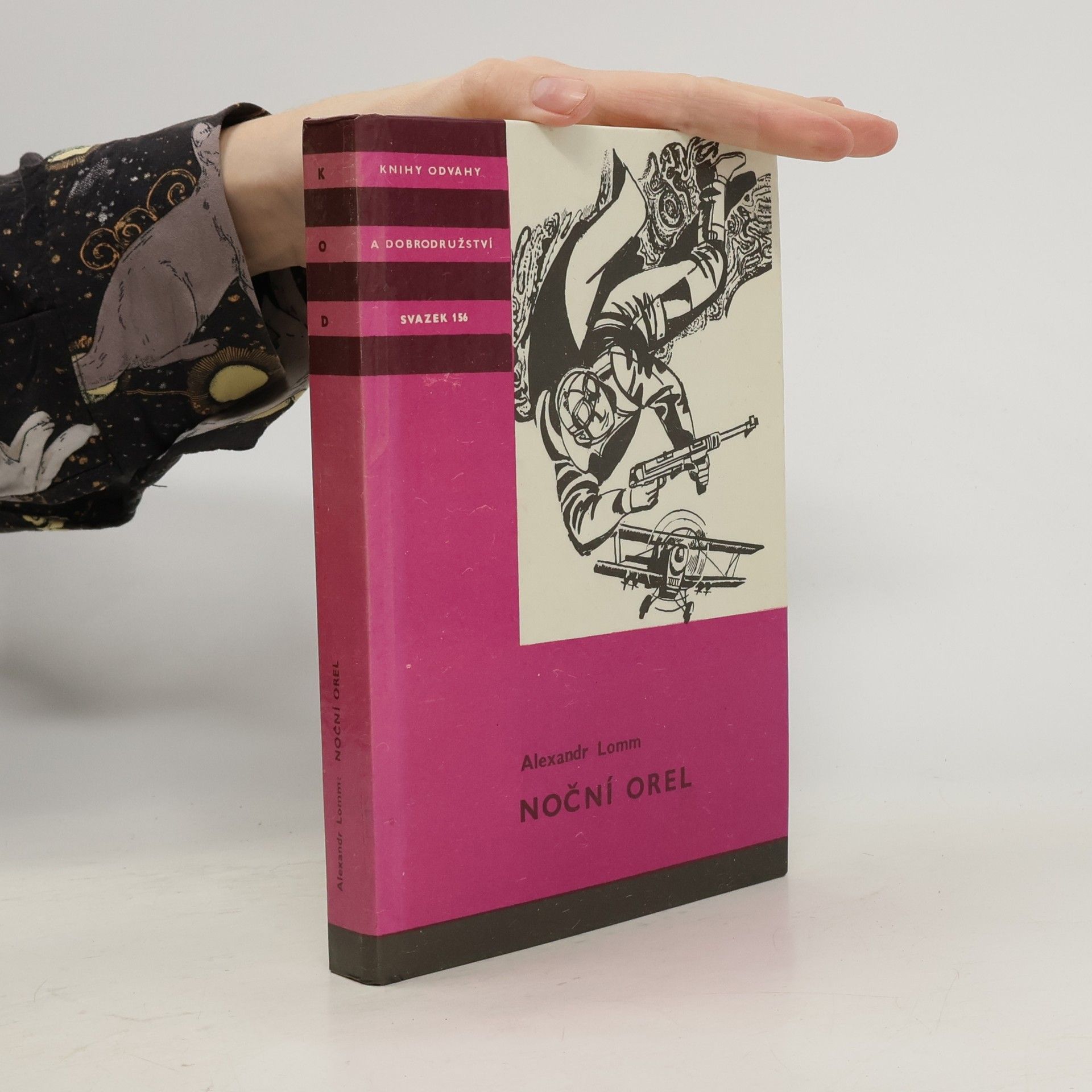 Aleksandr Lomm Noční orel