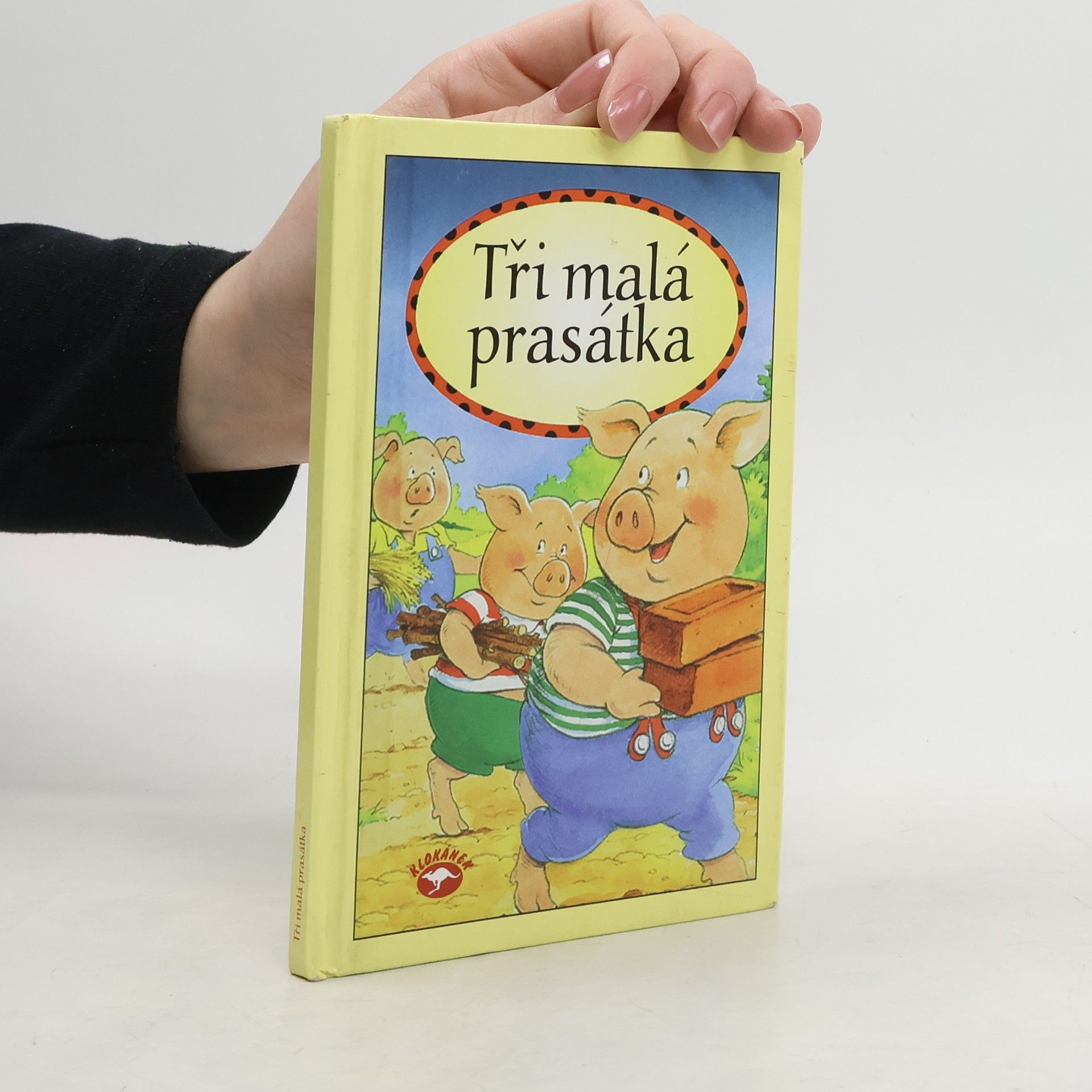 Collectif d'auteurs Tři malá prasátka : na motivy tradiční lidové pohádky