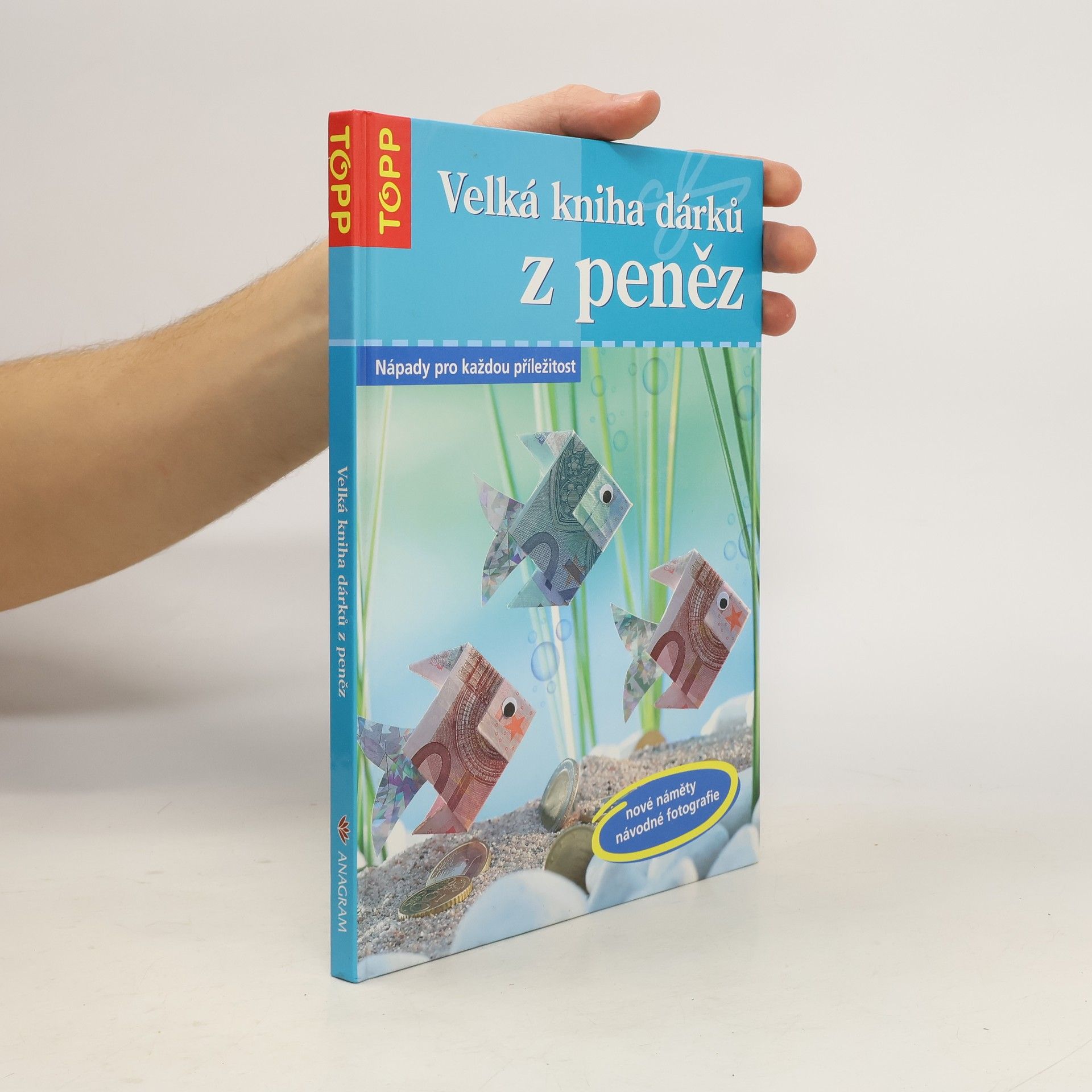 Annette Bayer Velká kniha dárků z peněz: Nápady pro každou příležitost