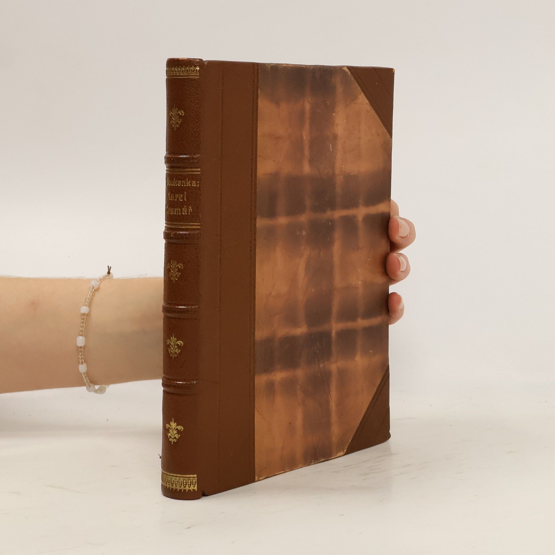 Jan Soukenka Karel Kramář 1914-1918