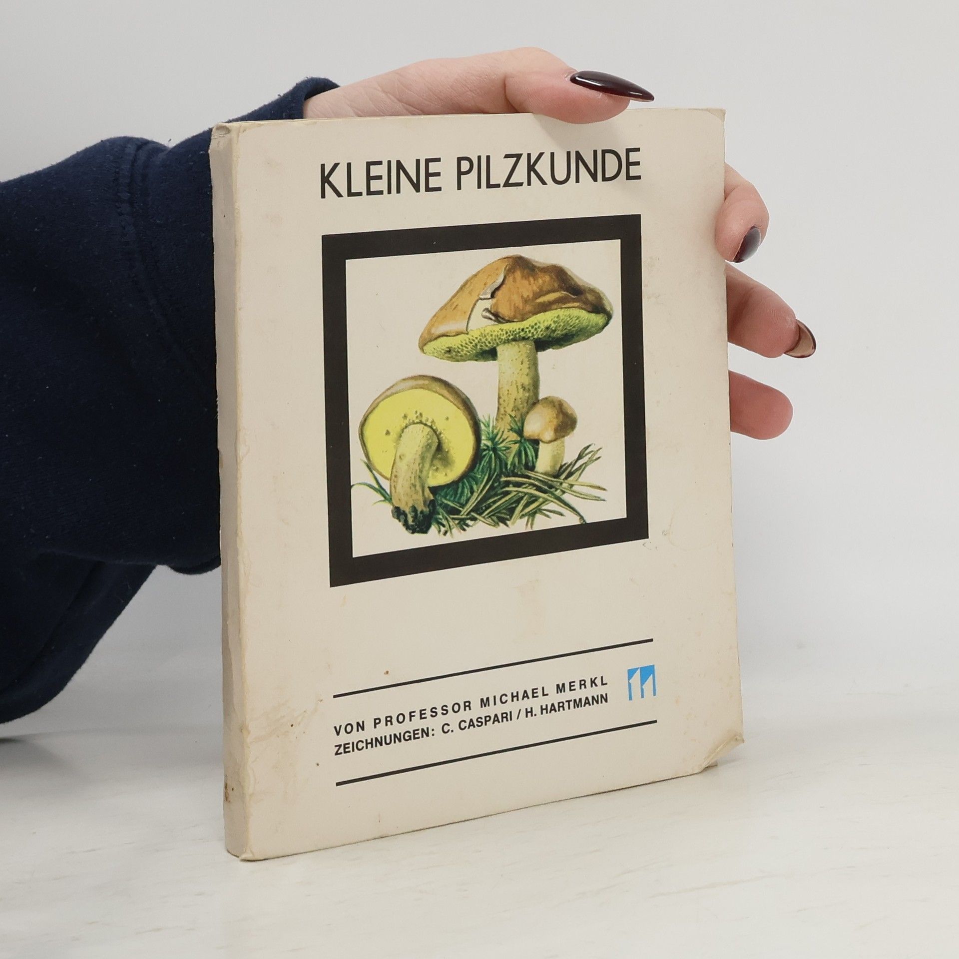 Michael Merkl Kleine Pilzkunde