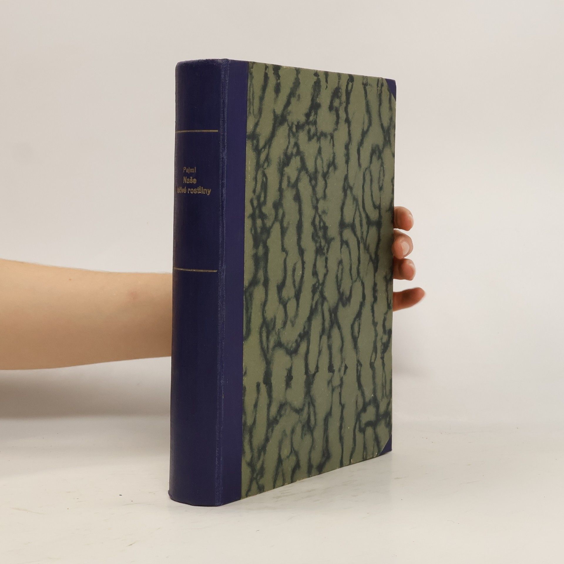 Karel Pejml Naše léčivé rostliny