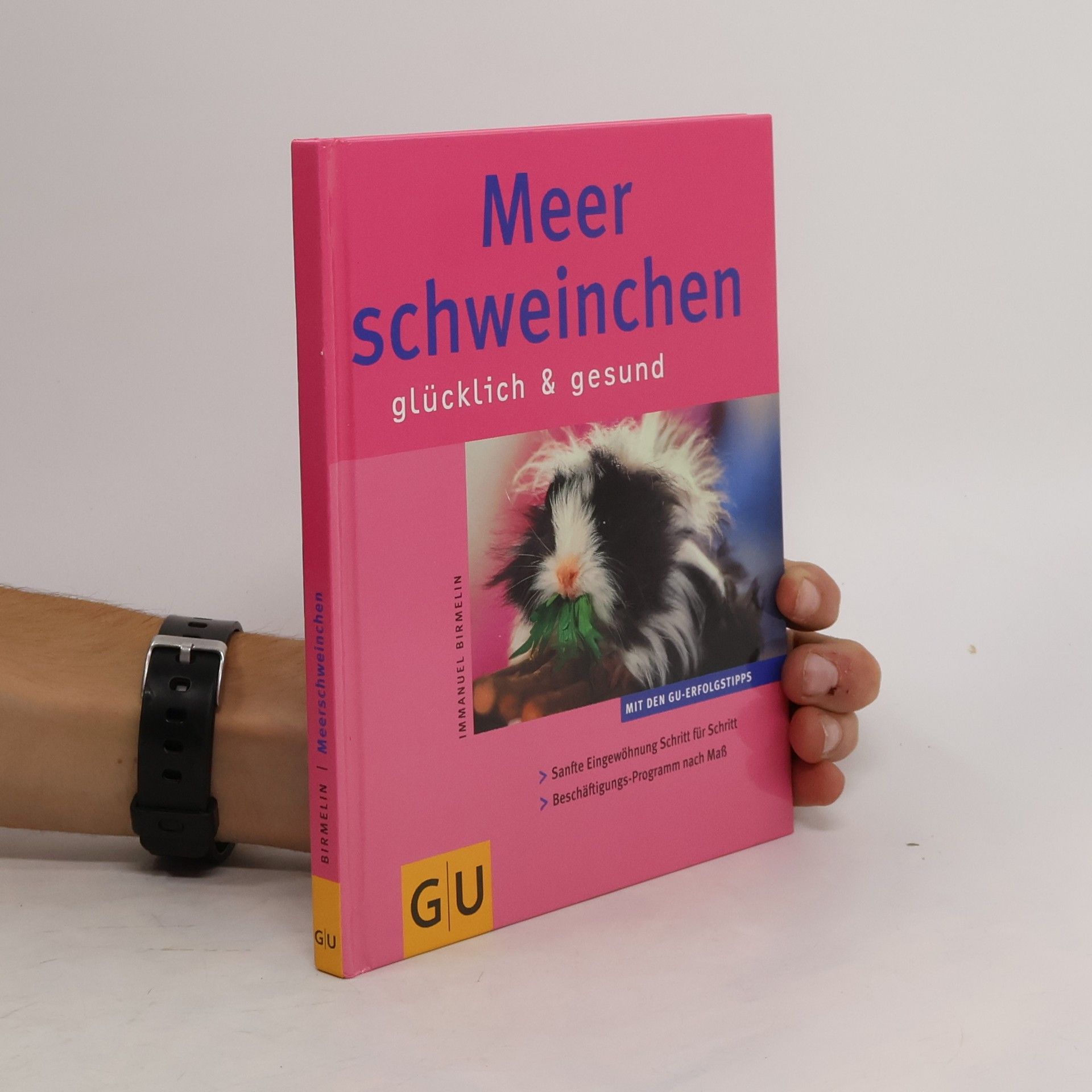 Immanuel Birmelin Meerschweinchen