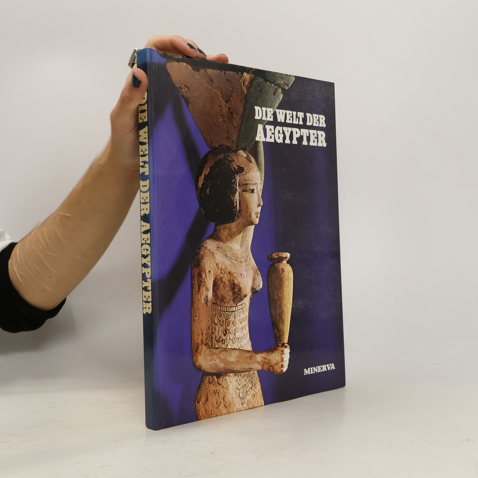 Collectif d'auteurs Die Welt der Aegypter