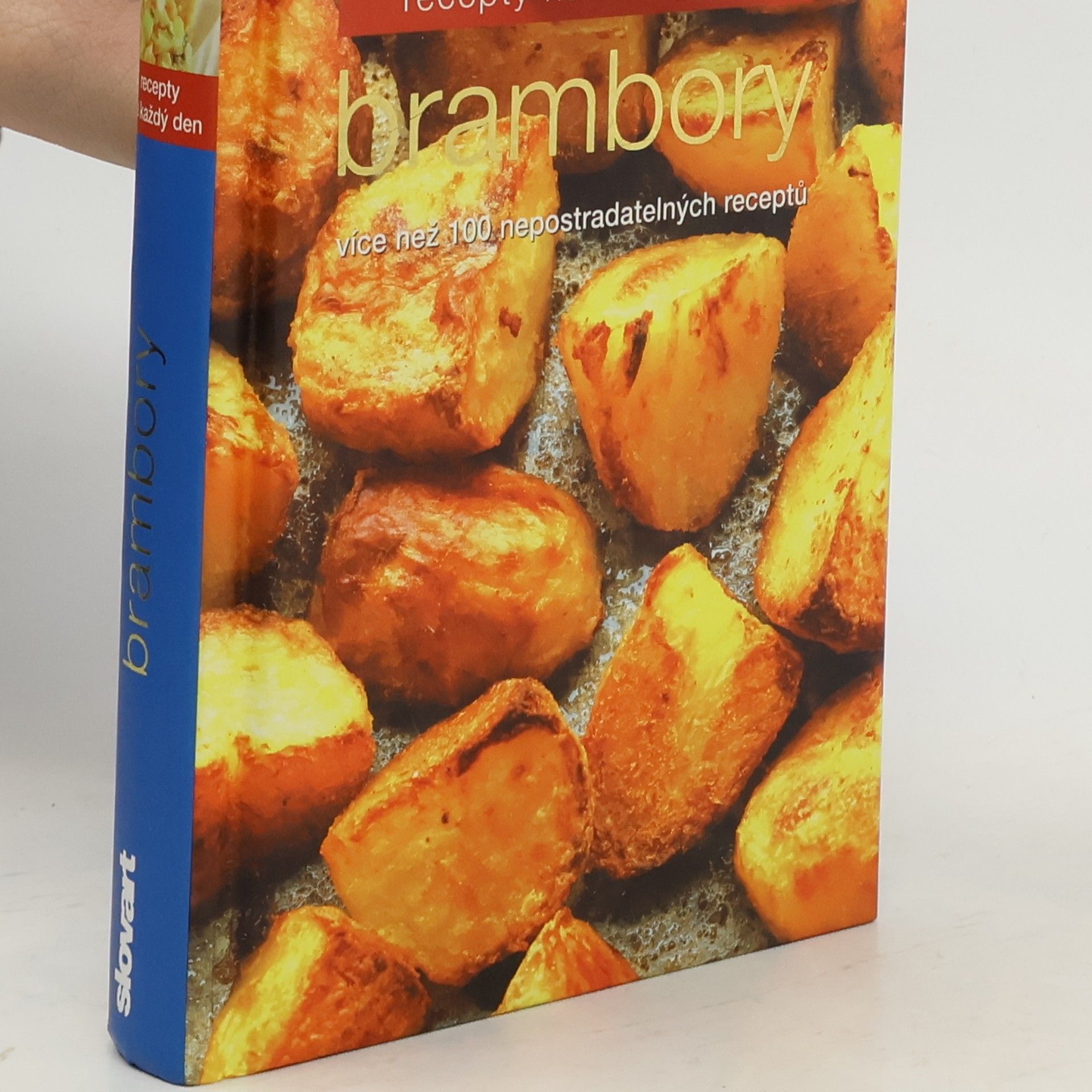 Brambory: Více než 100 nepostradatelných receptů