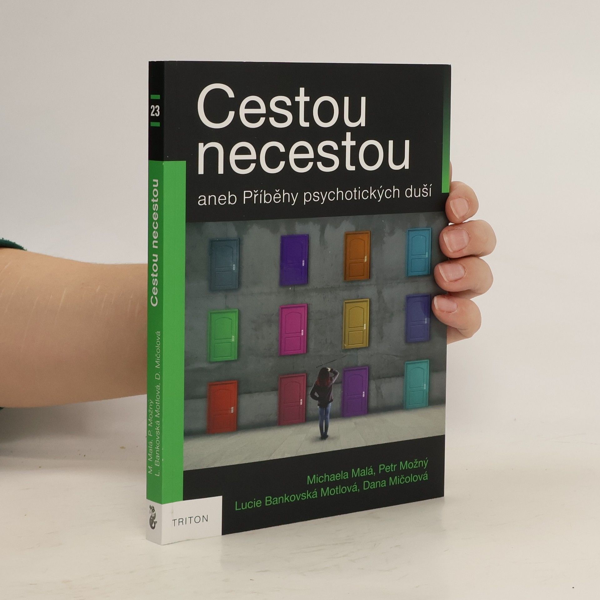 Cestou necestou aneb Příběhy psychotických duší