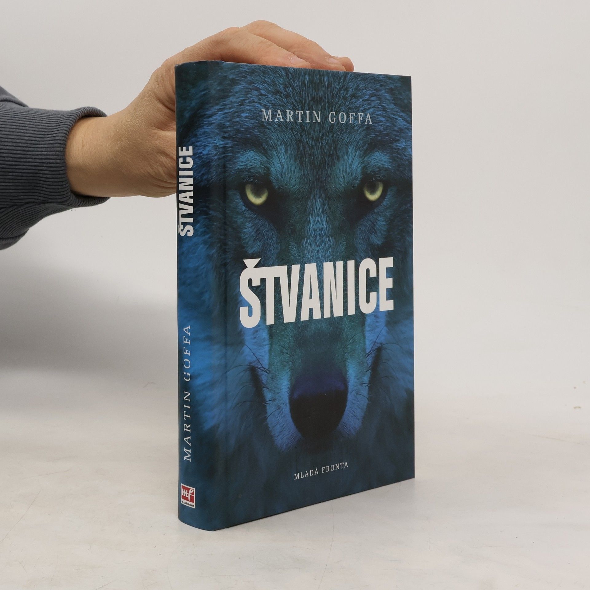 Martin Goffa Štvanice