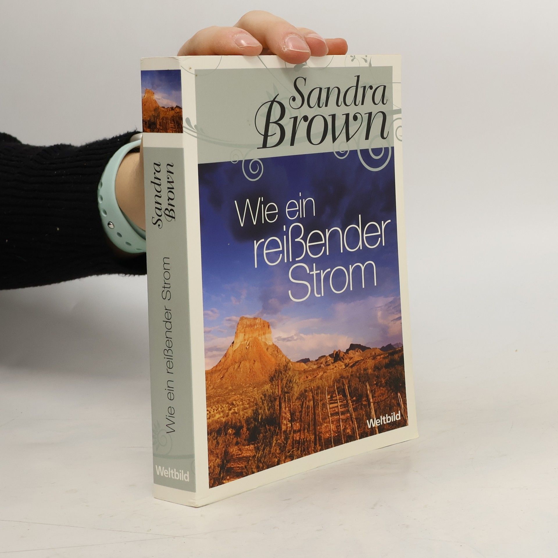 Sandra Brown Wie ein reißender strom