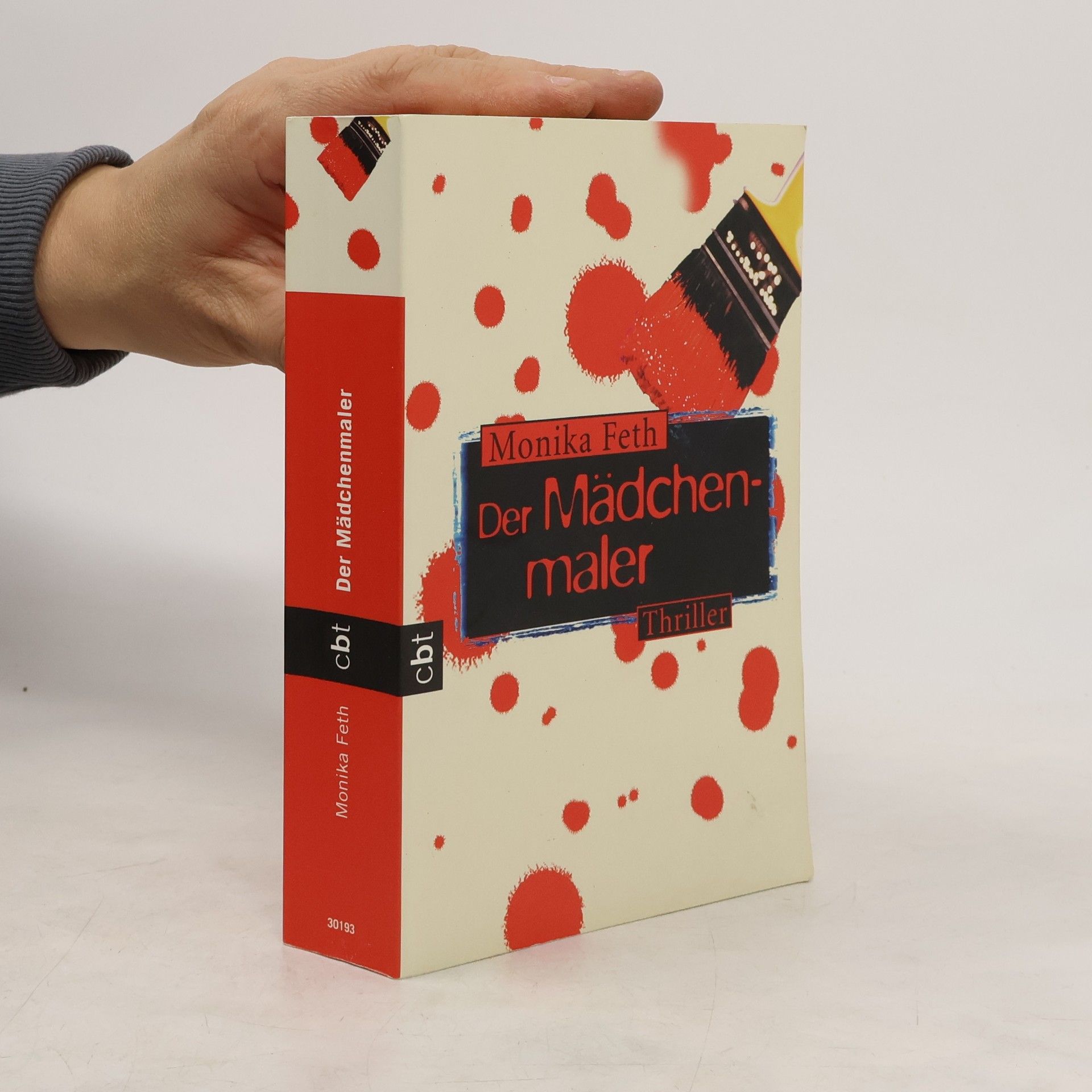 Monika Feth Der Mädchenmaler