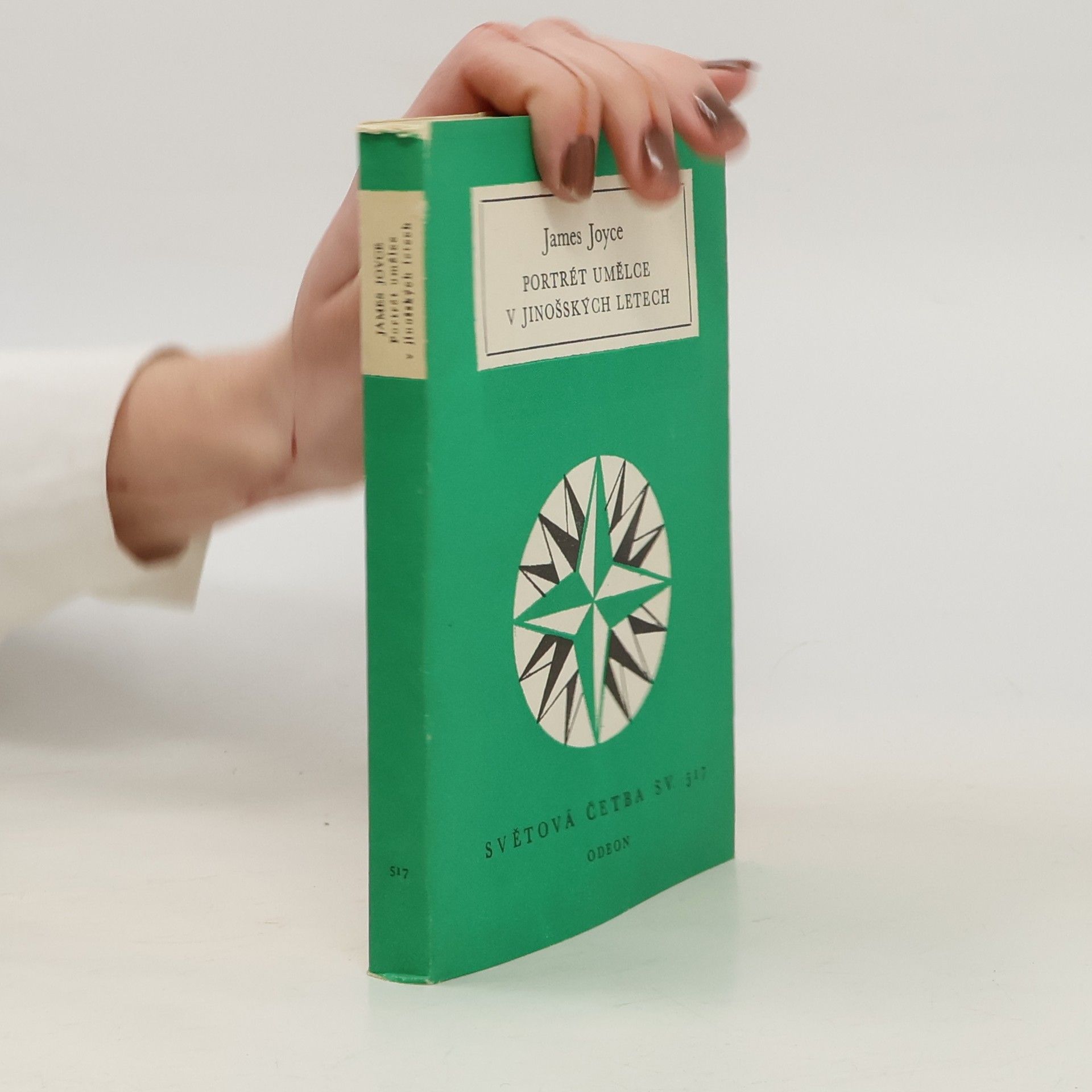 James Joyce Portrét umělce v jinošských letech