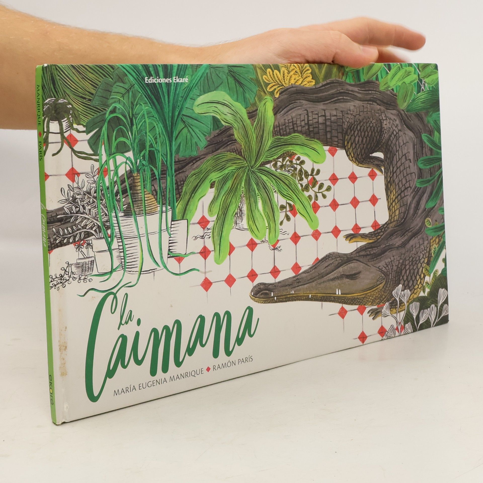 Maria Eugenia Manrique La caimana