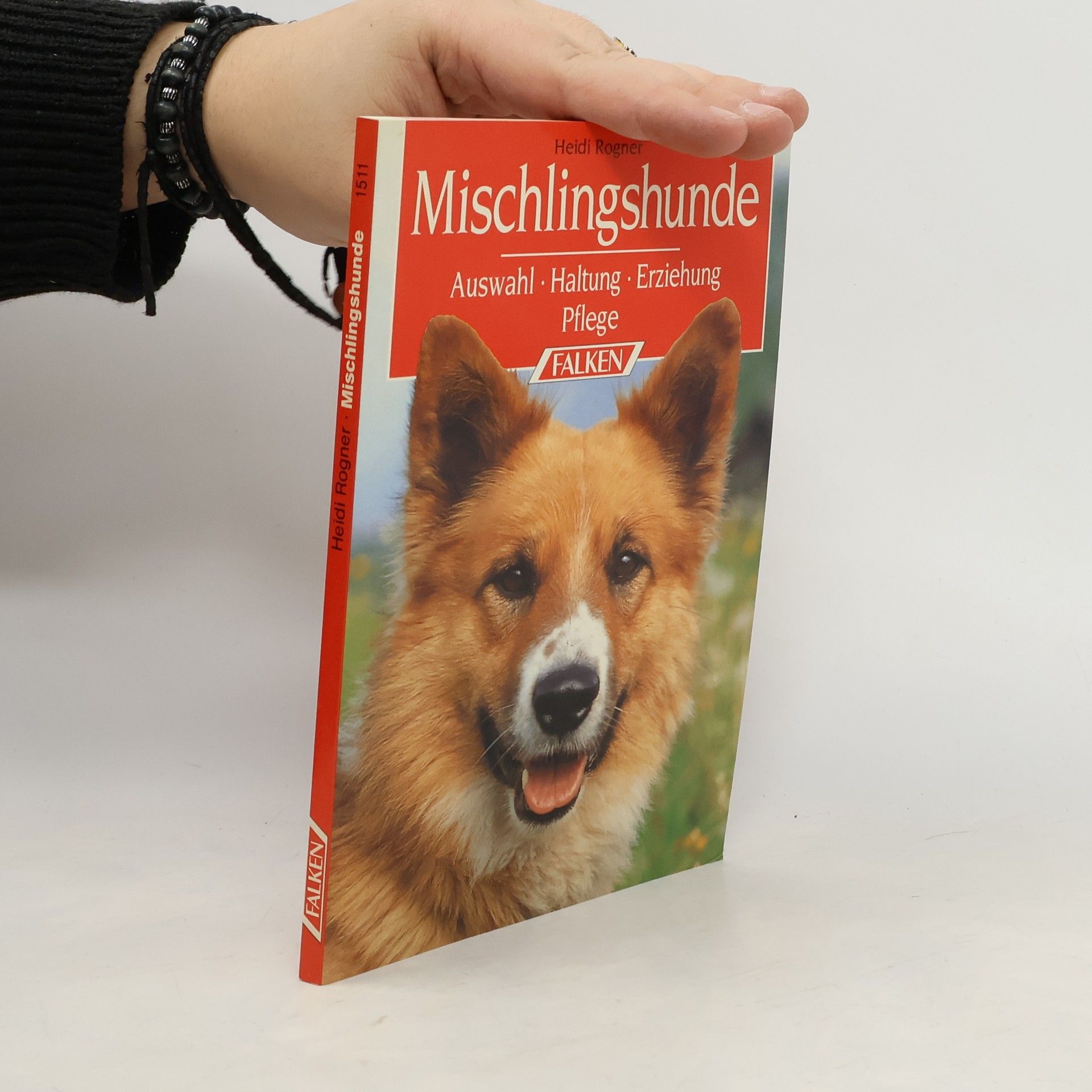 Heidi Rogner Mischlingshunde