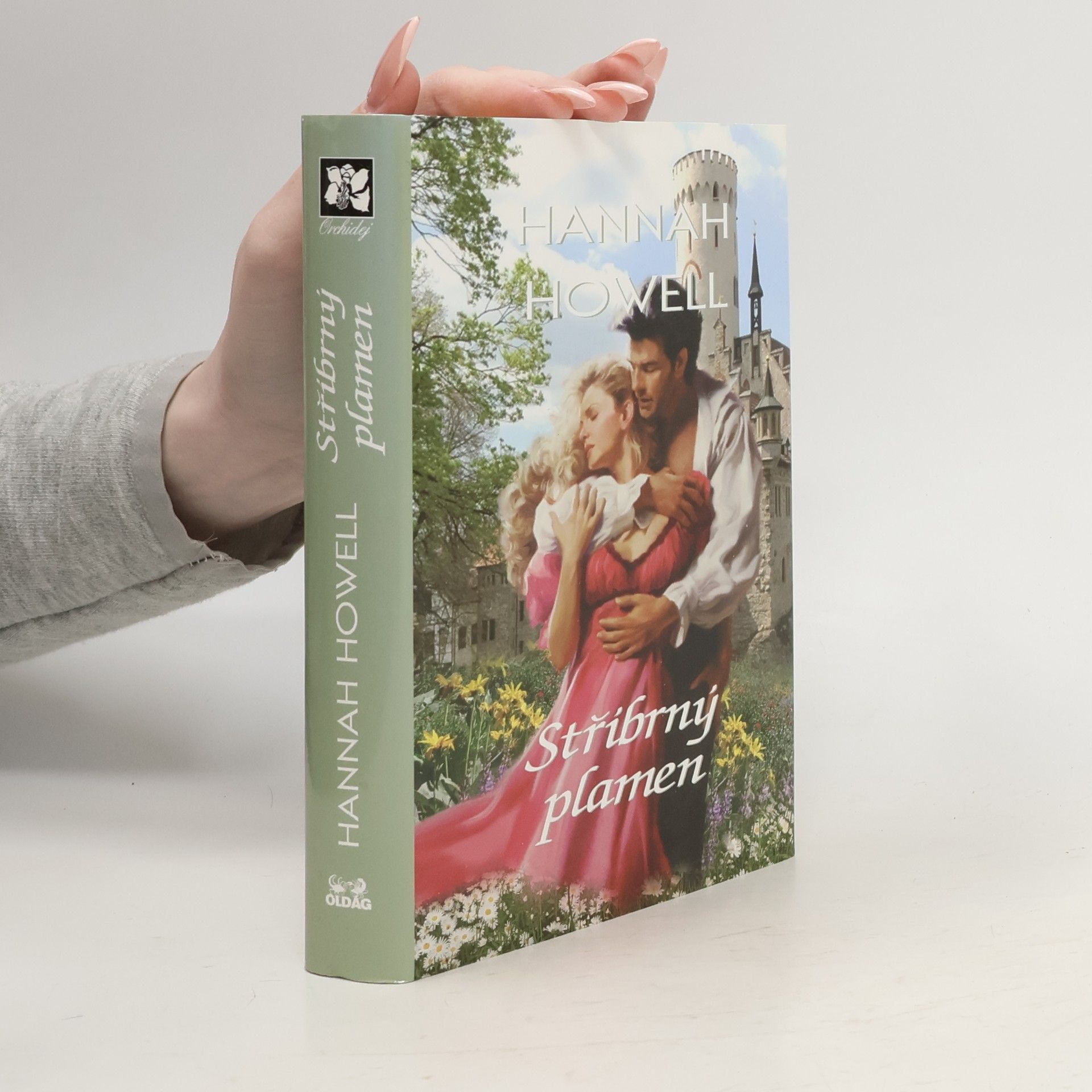 Hannah Howell Stříbrný plamen