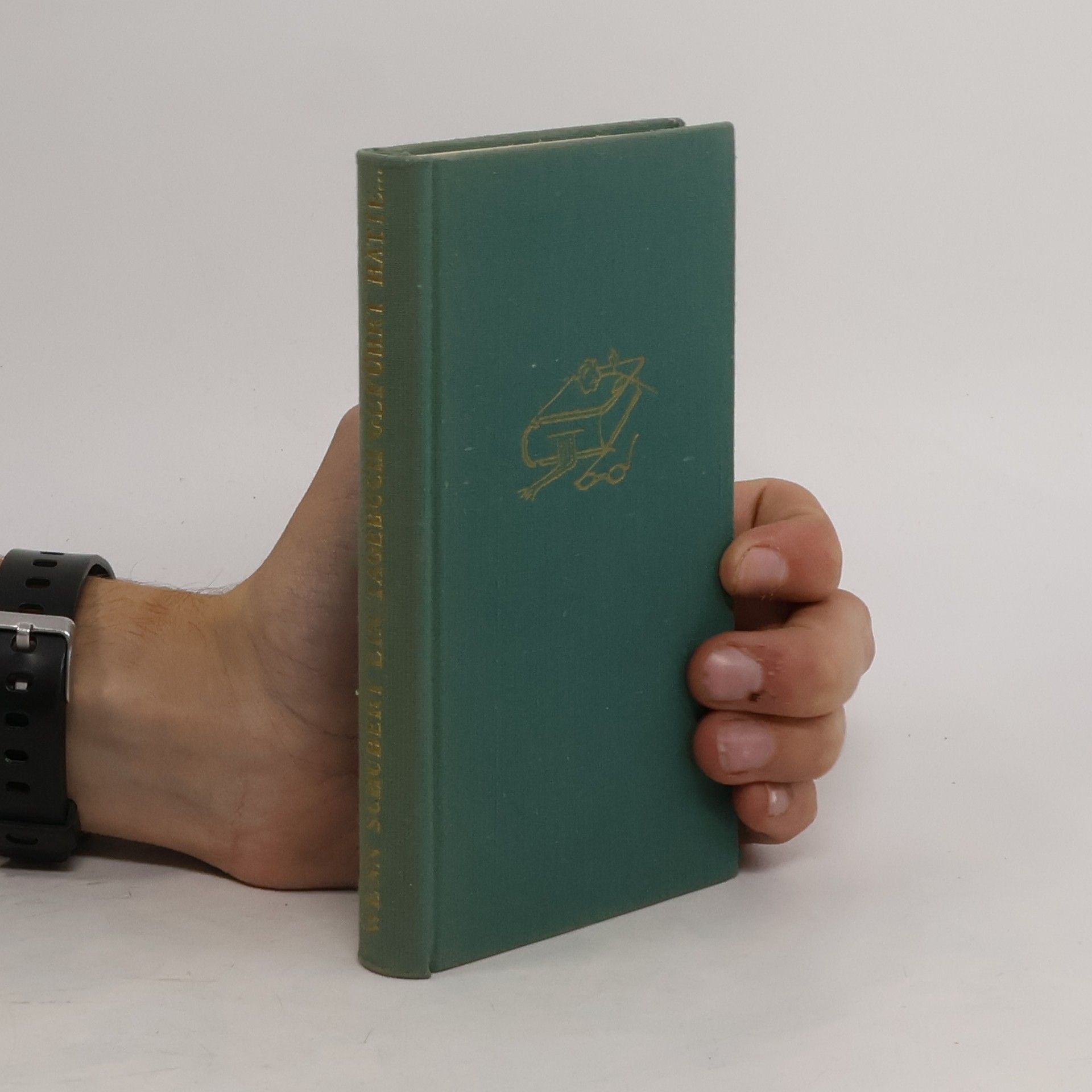 László Fábián Wenn Schubert ein Tagebuch geführt hätte