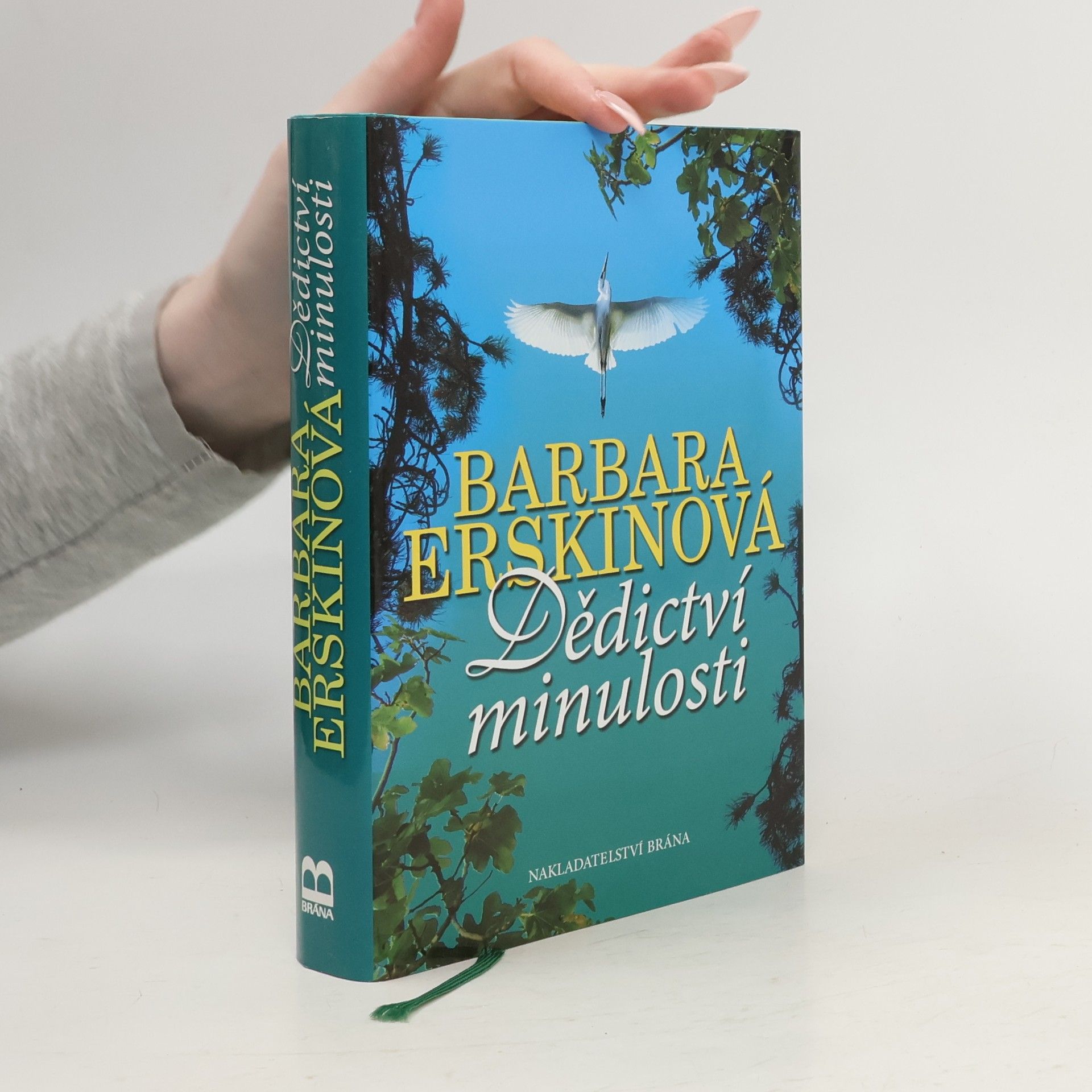 Barbara Erskinová Dědictví minulosti