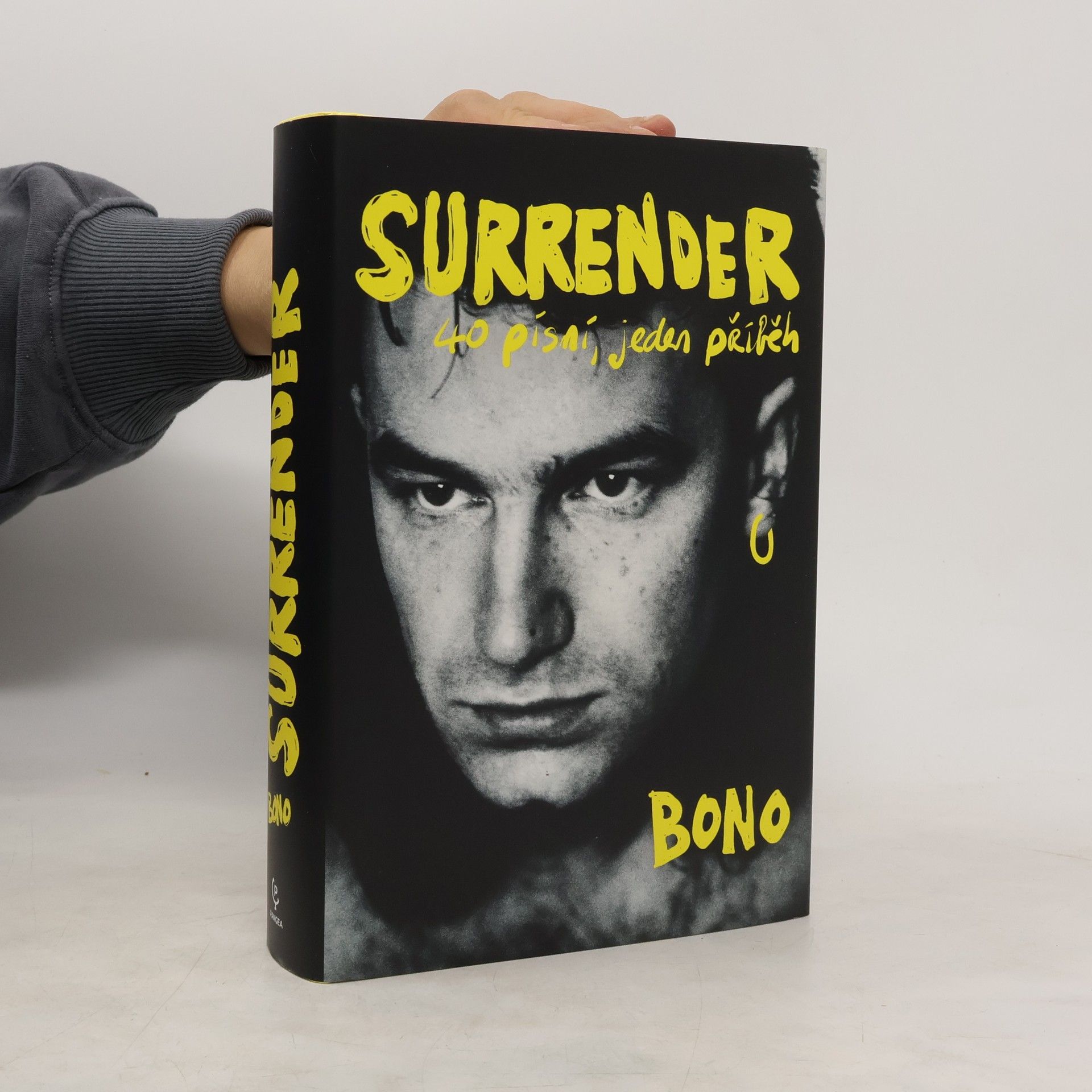 Surrender : 40 písní, jeden příběh