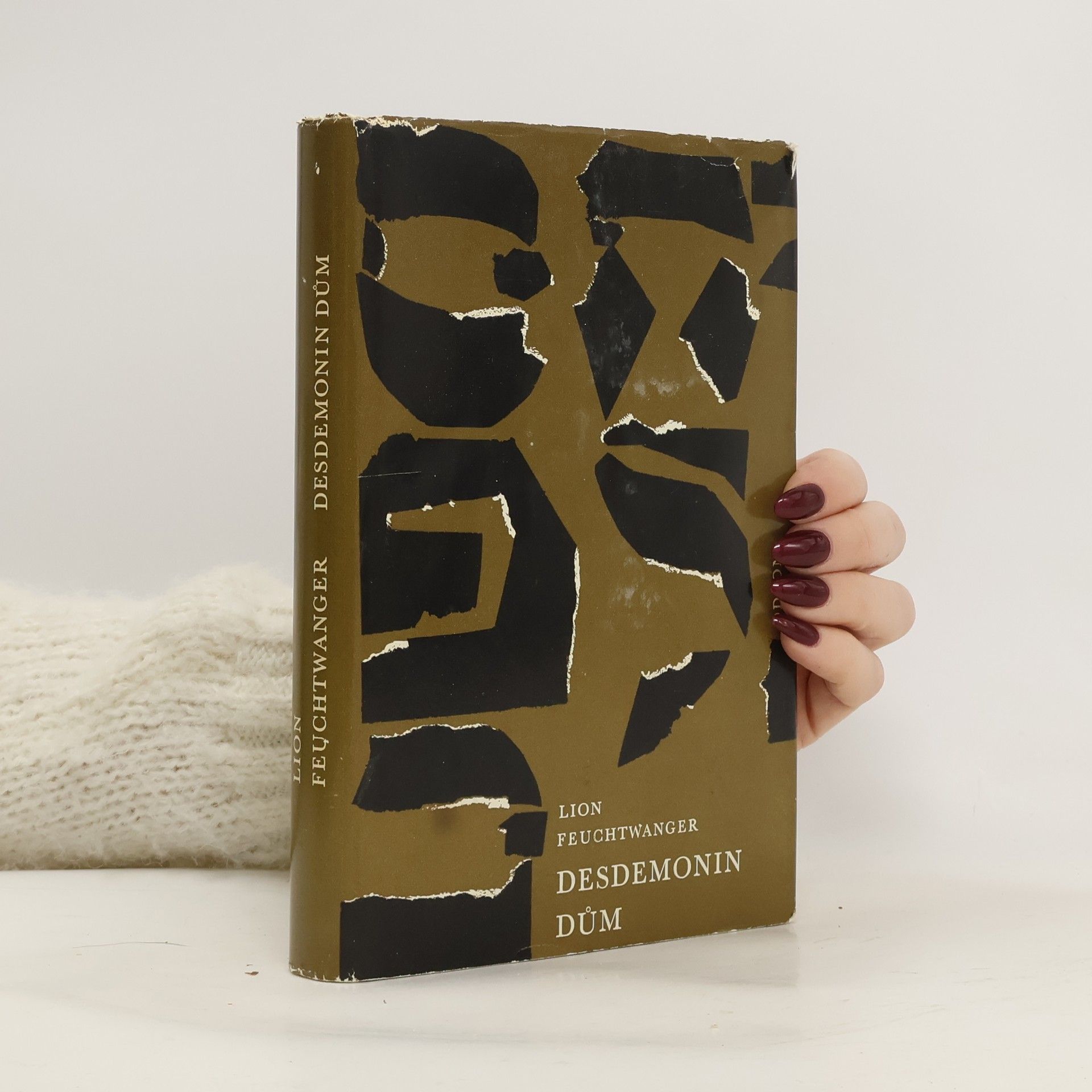 Lion Feuchtwanger Desdemonin dům