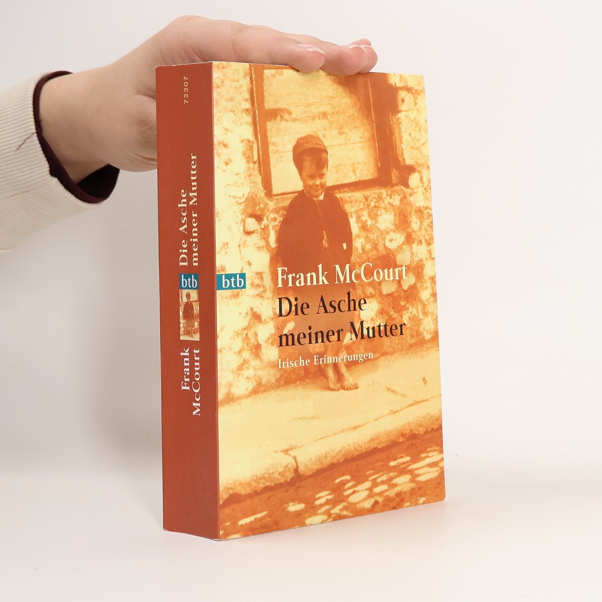 Frank McCourt Die Asche meiner Mutter