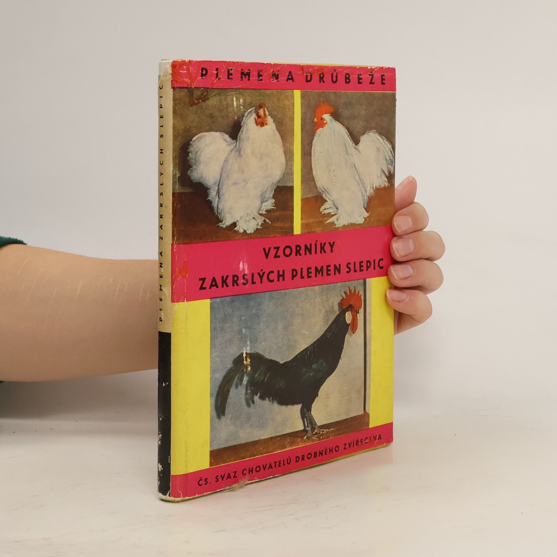 Autorenkollektiv Plemena drůbeže. Vzorníky zakrslých plemen slepic