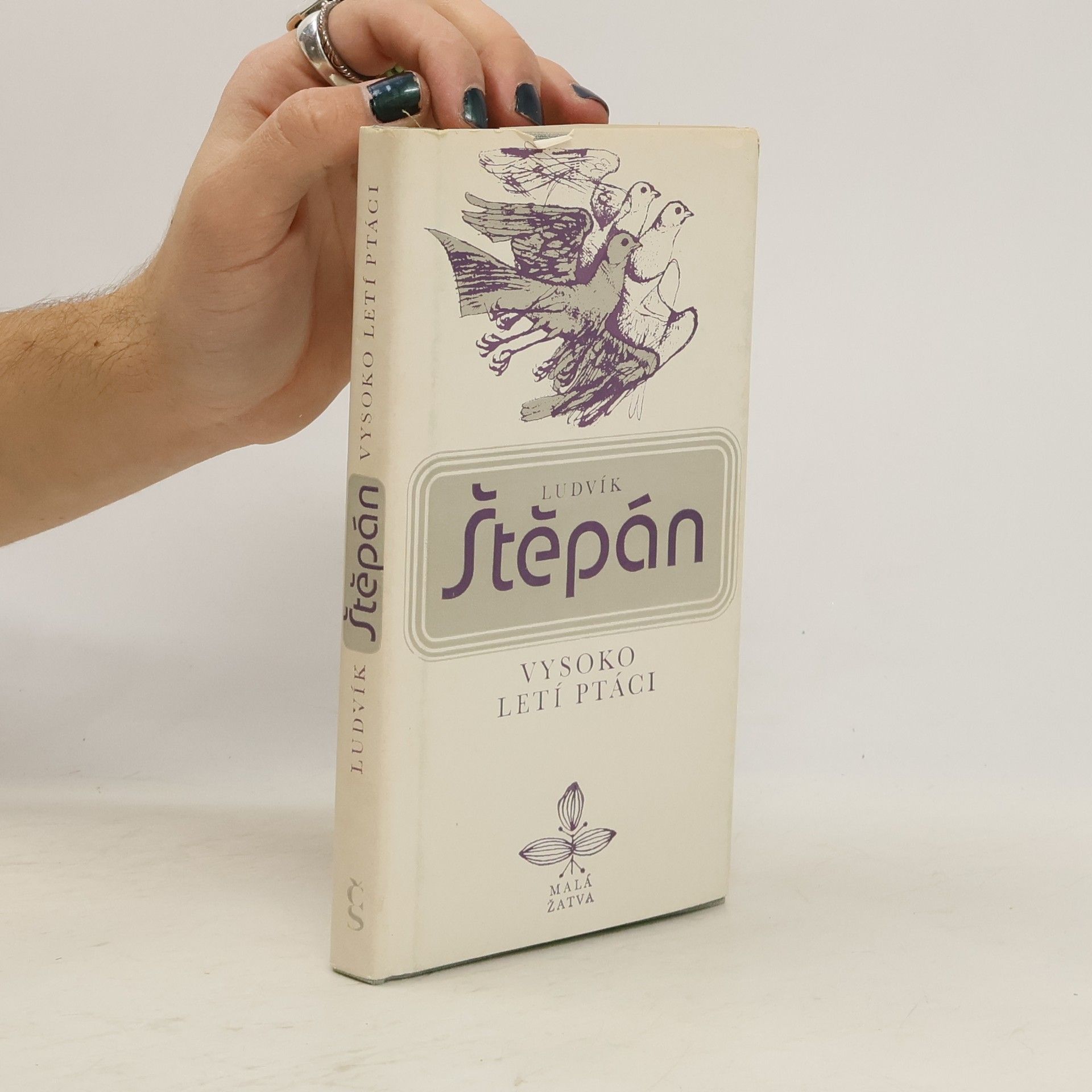 Ludvík Štěpán Vysoko letí ptáci