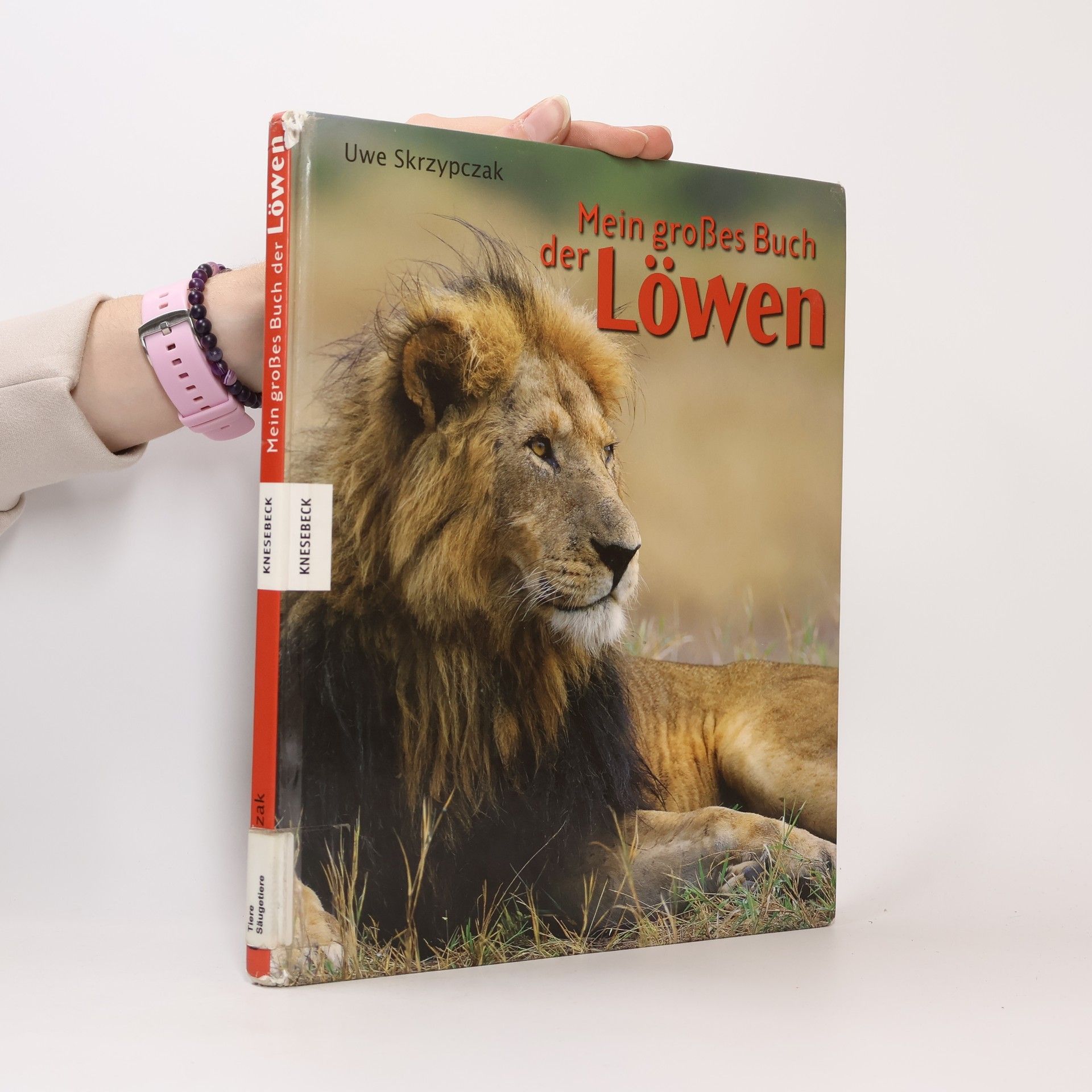 Uwe Skrzypczak Mein großes Buch der Löwen
