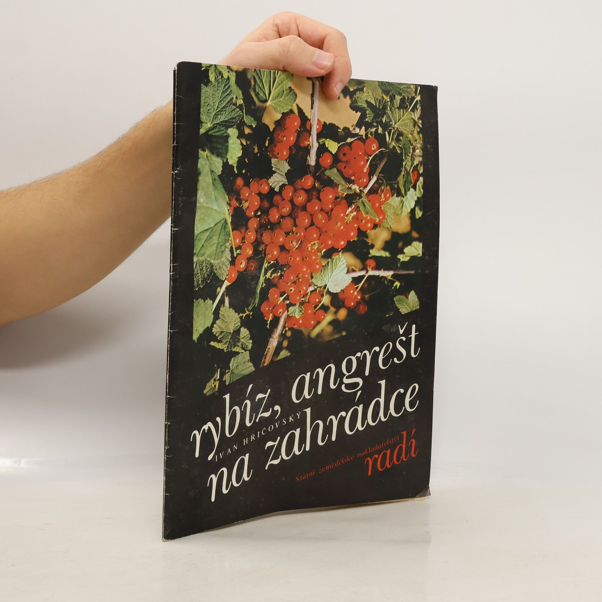 Ivan Hričovský Rybíz, angrešt na zahrádce