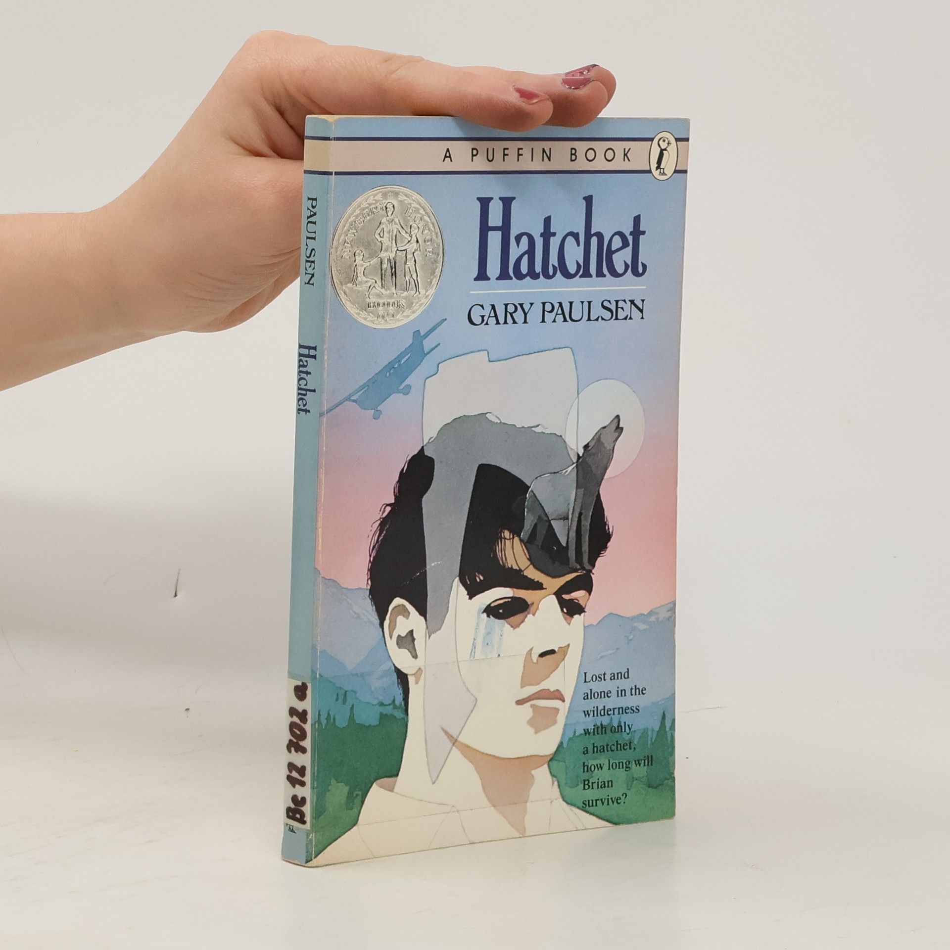 Gary Paulsen Hatchet