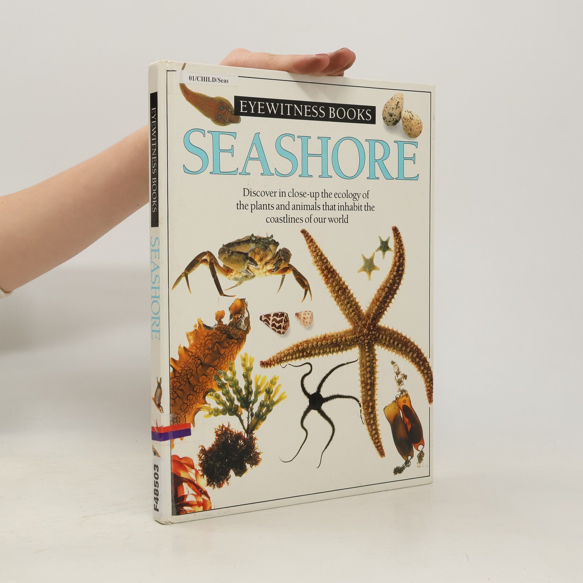 Steve Parker Eyewitness Books: Seashore