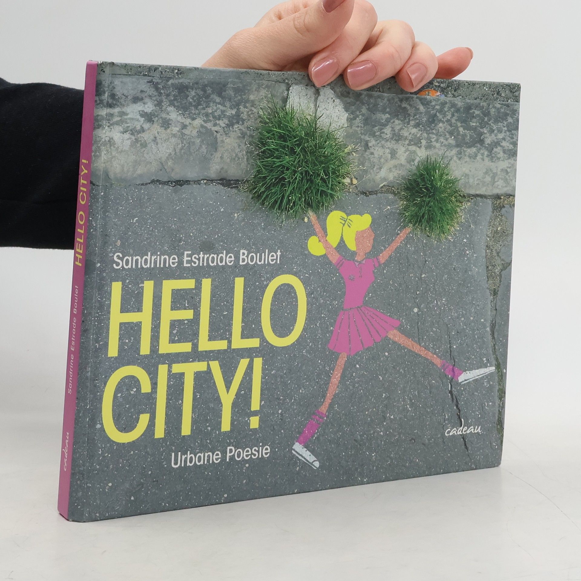 Sandrine Estrade Boulet Hello City!. Urbane Poesie