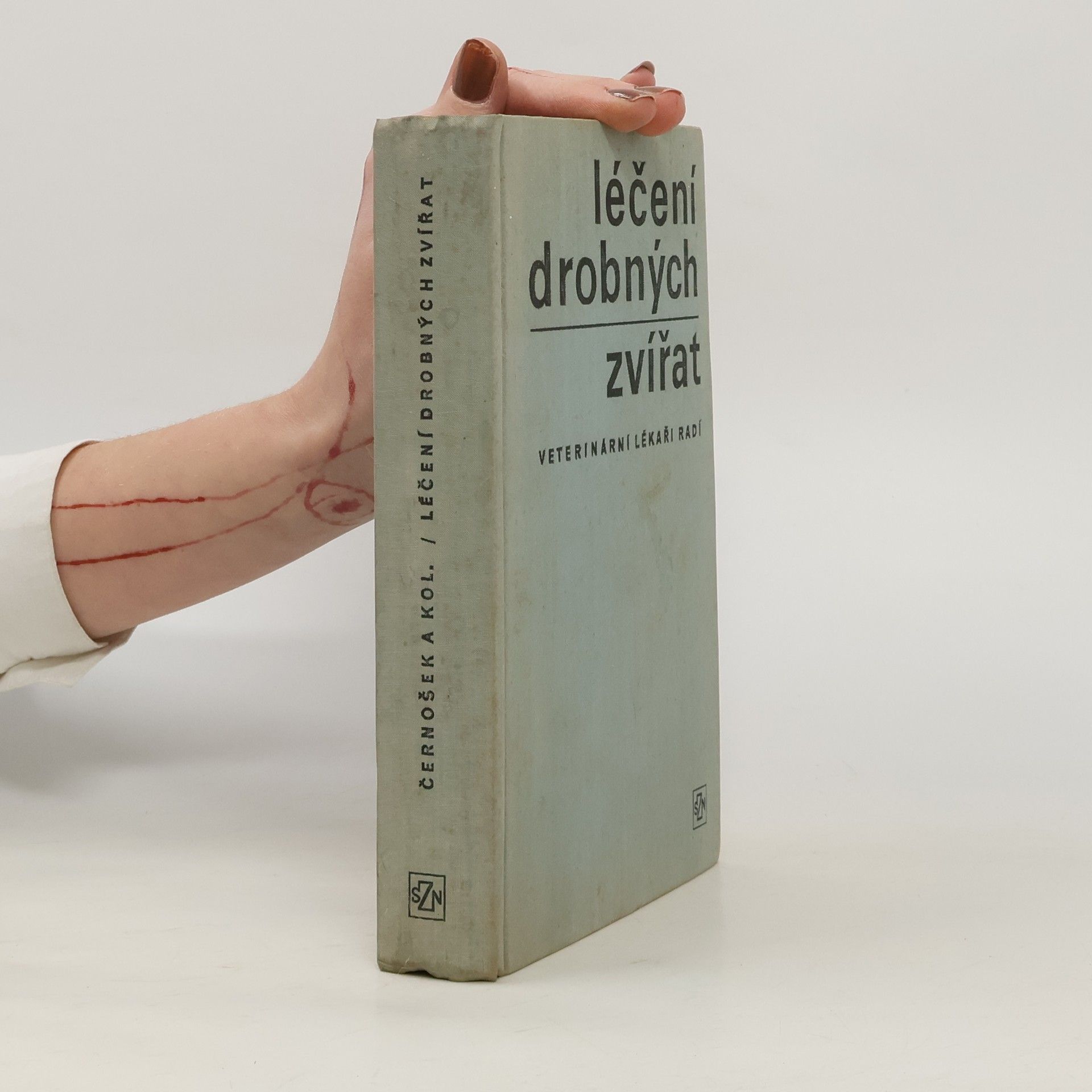 Léčení drobných zvířat. Veterinární lékaři radí