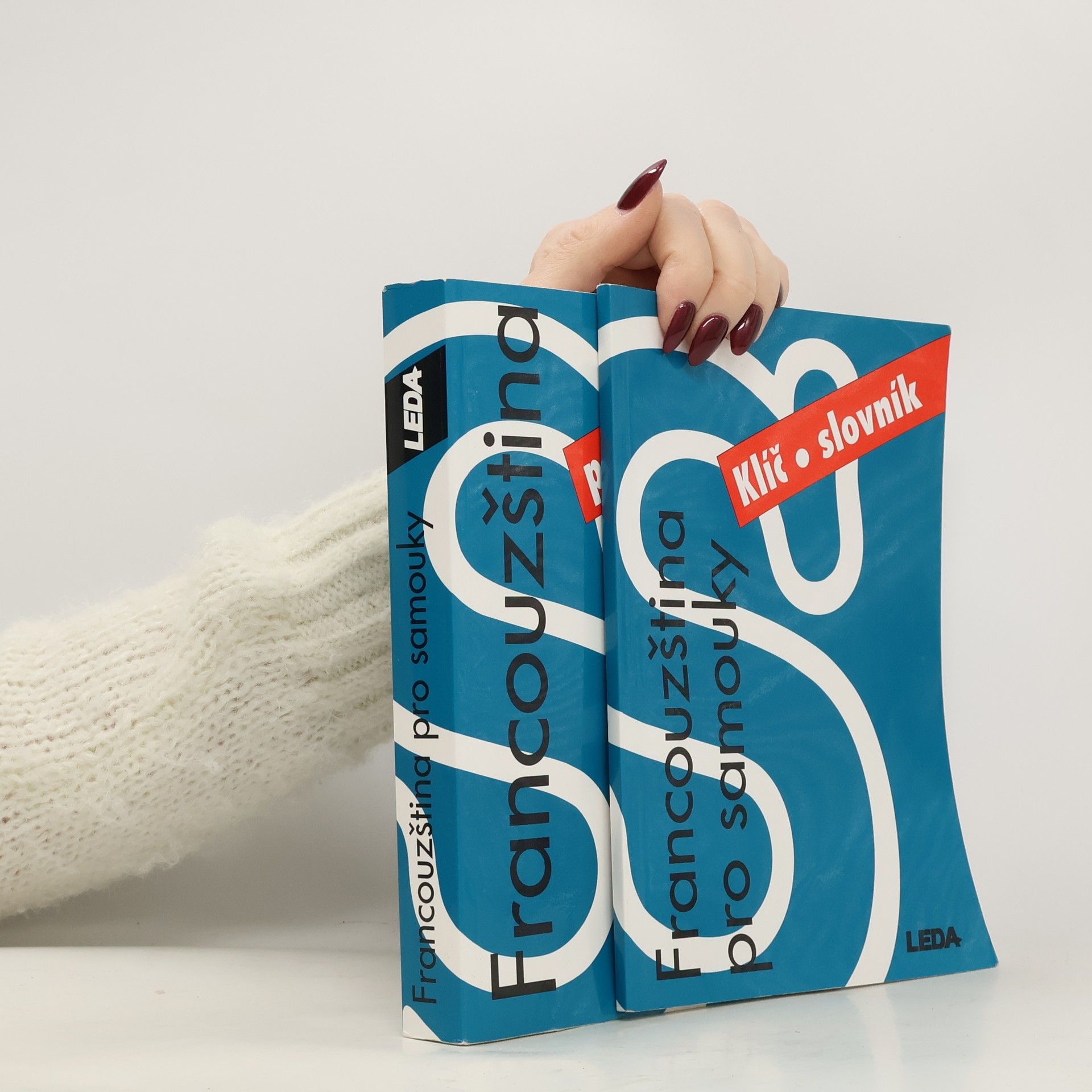 Kolektiv autorů Francouzština pro samouky. Učebnice + Klíč, slovník