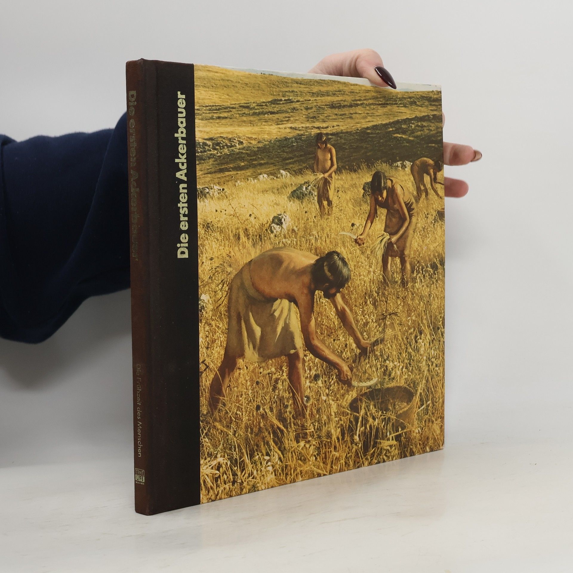 Autores varios Die ersten Ackerbauer