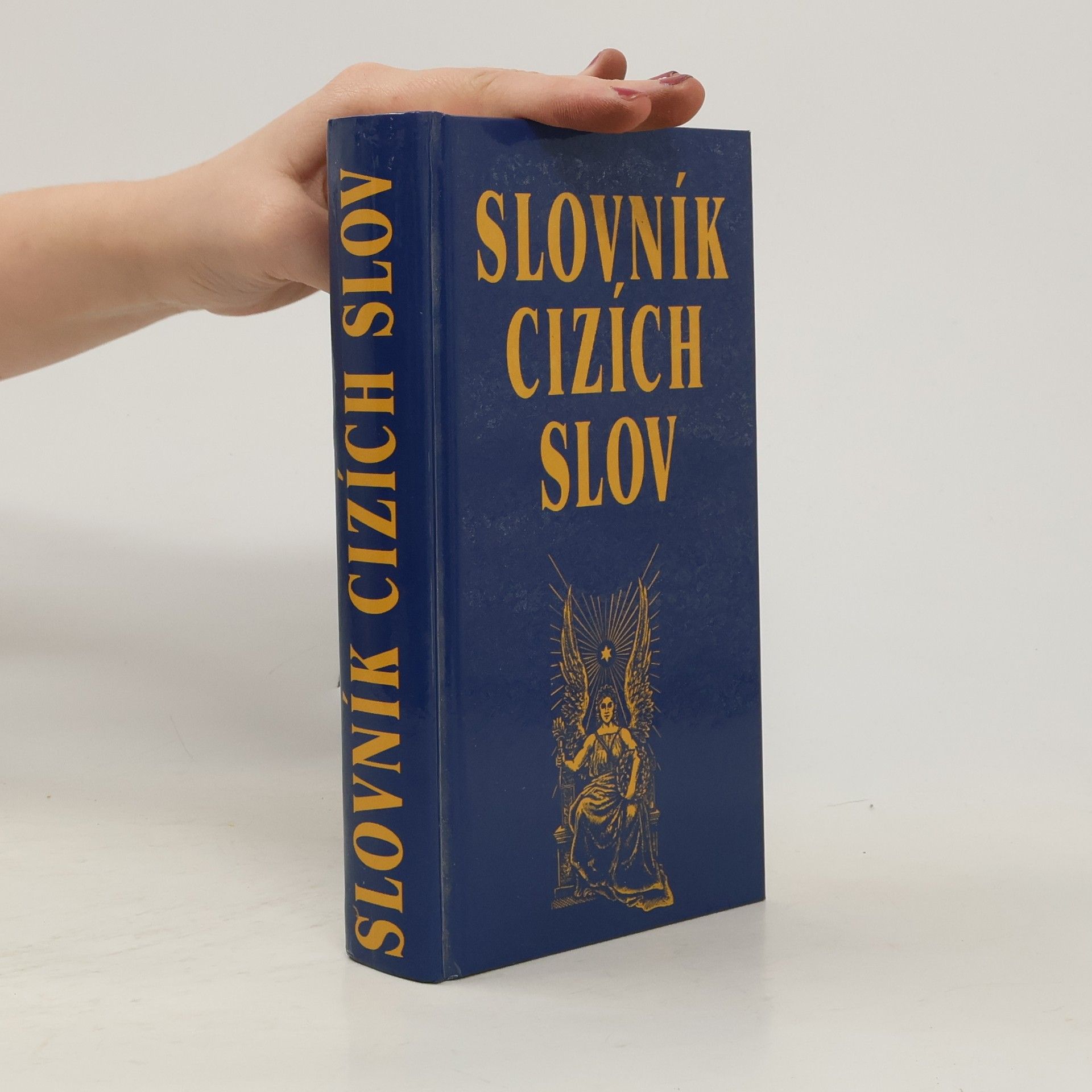 Kolektiv autorů Slovník cizích slov