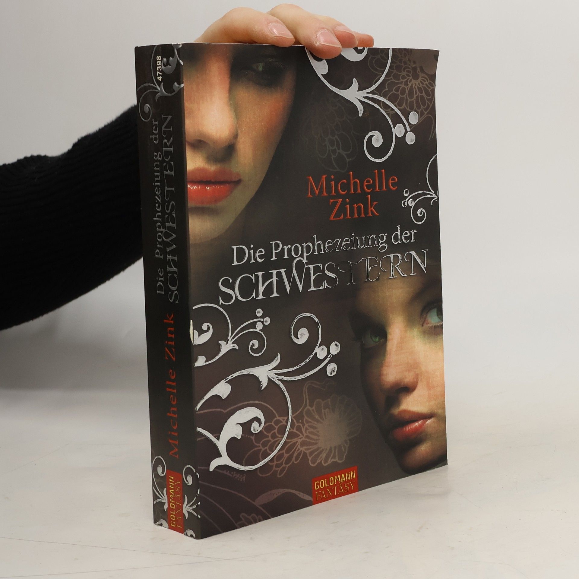 Michelle Zink Die Prophezeiung der Schwestern