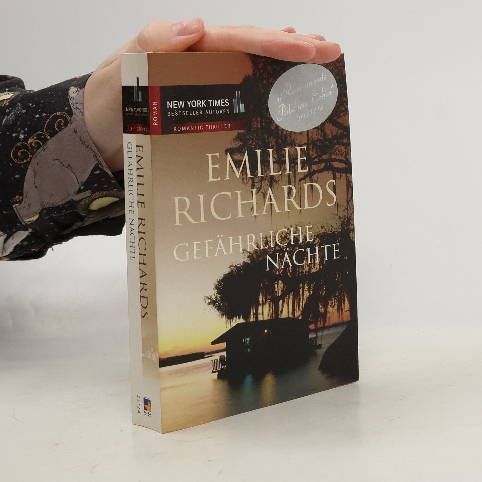 Emilie Richards Gefährliche Nächte