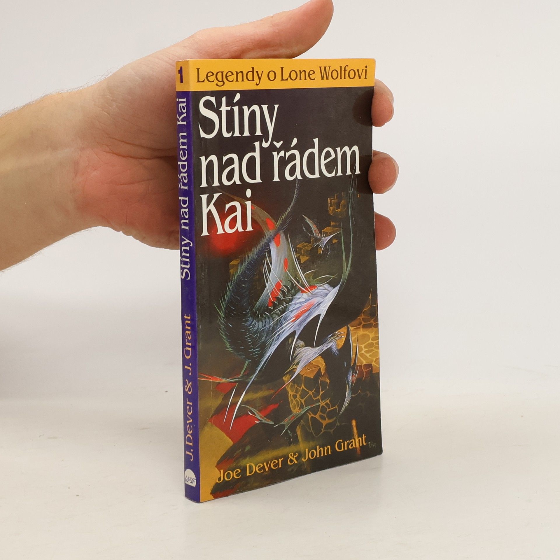 Eva Oliveriusová Stíny nad řádem Kai