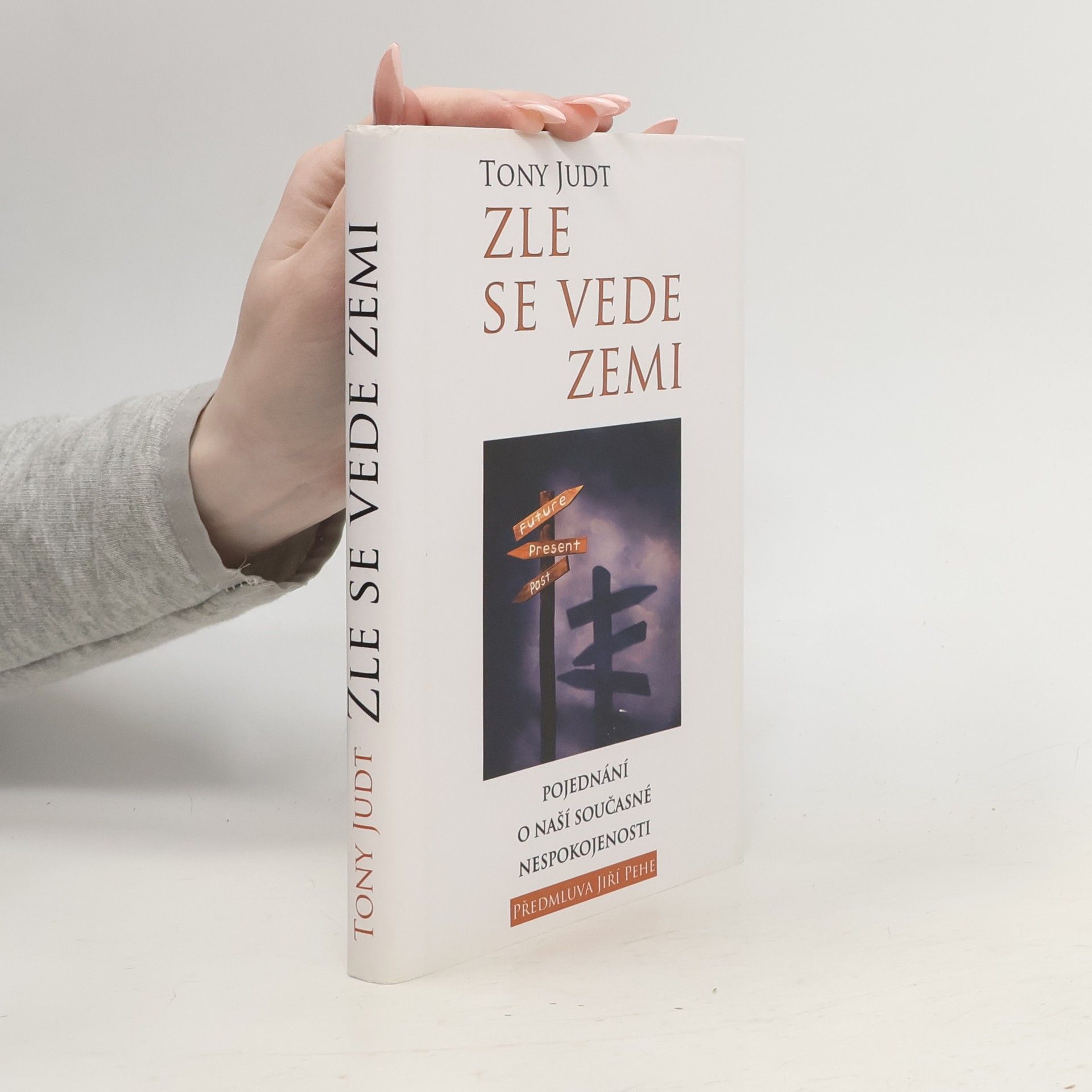 Tony Judt Zle se vede zemi: Pojednání o naší současné nespokojenosti