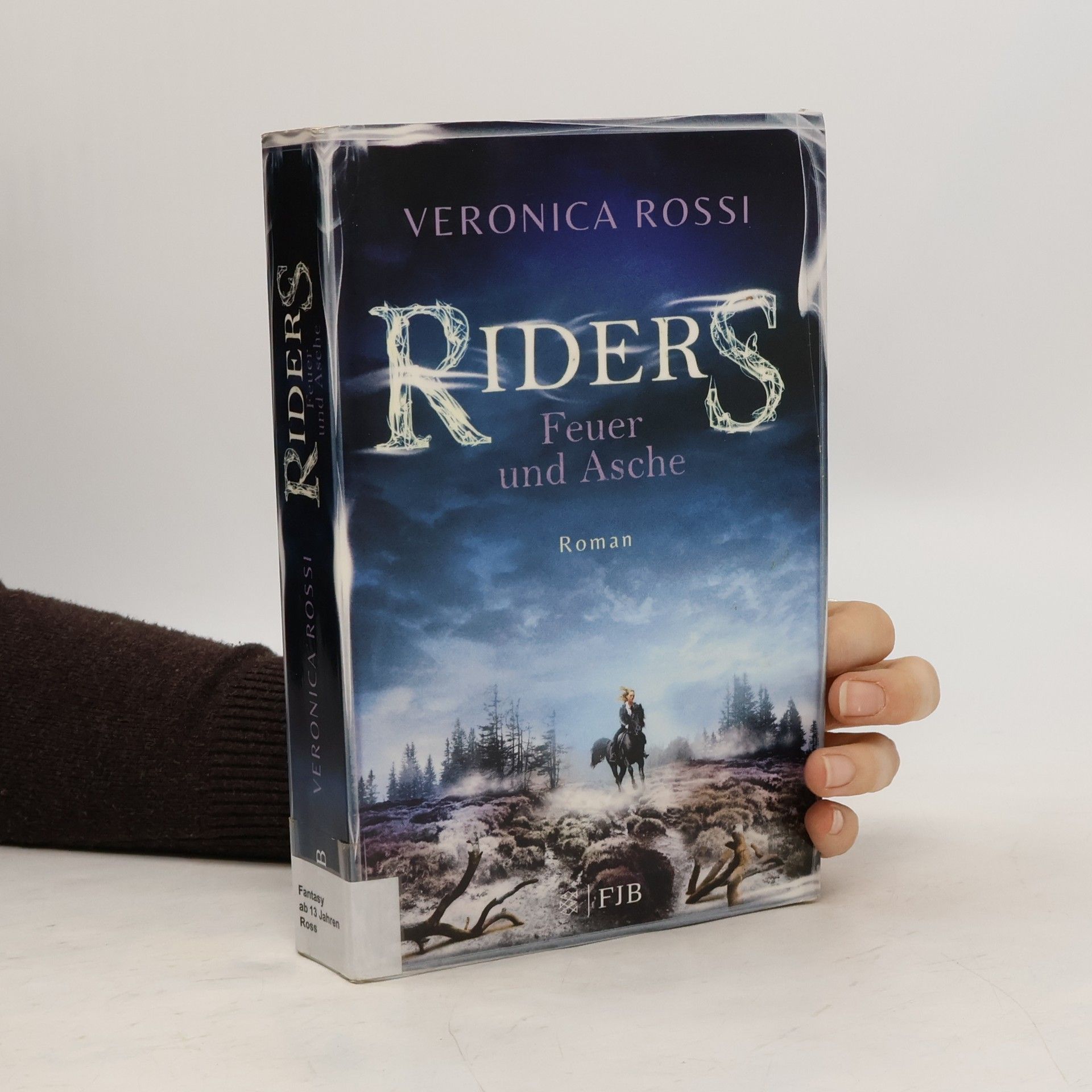 Veronica Rossi Riders - Feuer und Asche