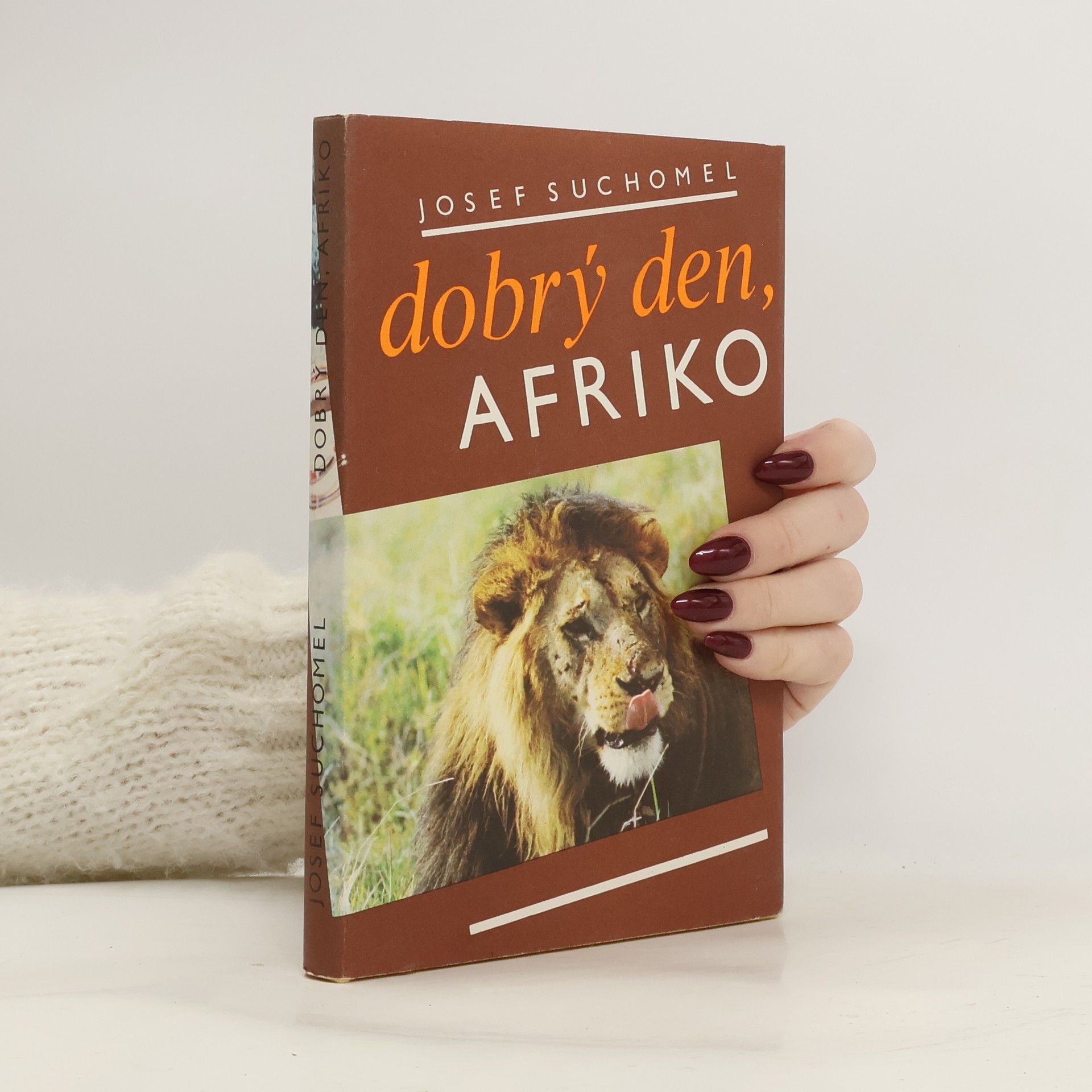Dobrý den, Afriko