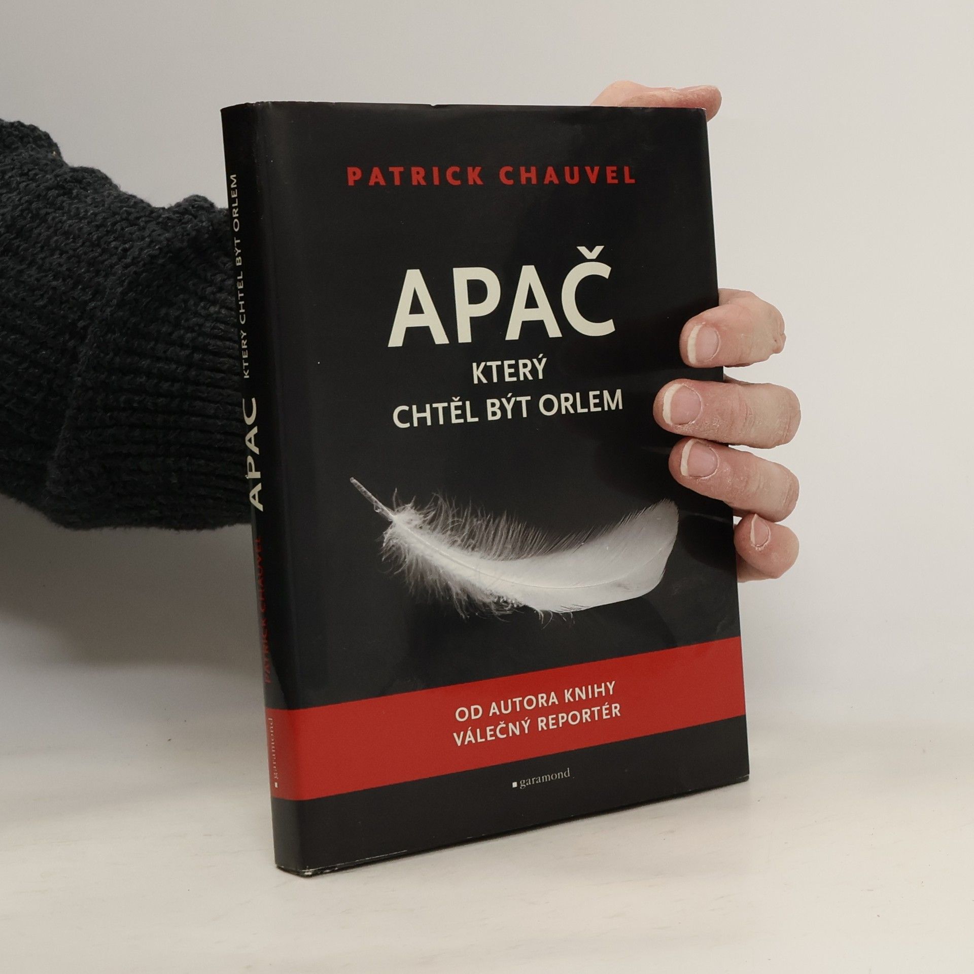 Apač, který chtěl být orlem