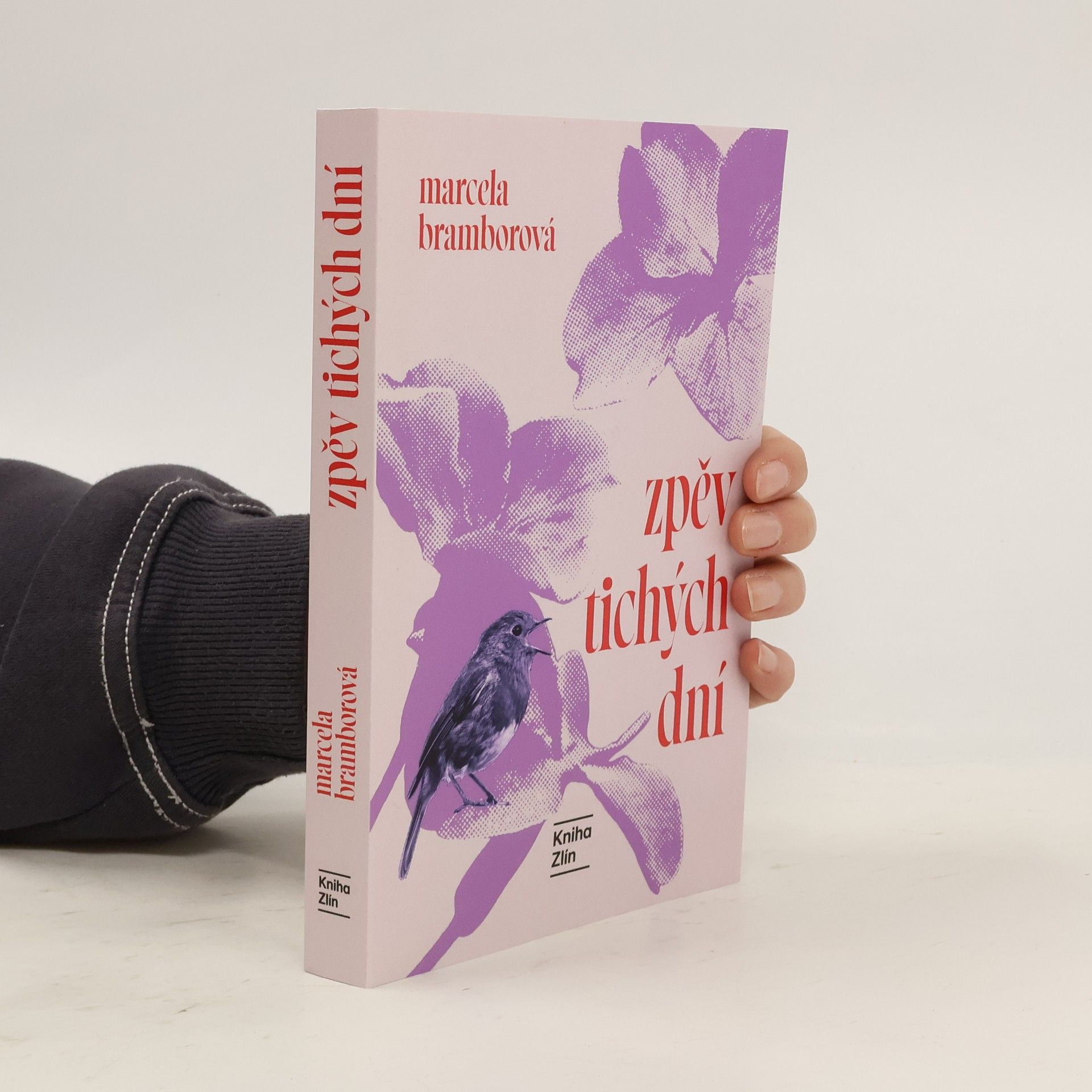 zpěv tichých dní