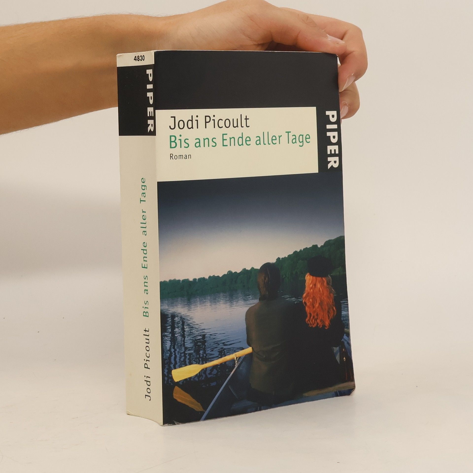 Jodi Picoult Bis ans ende aller Tage