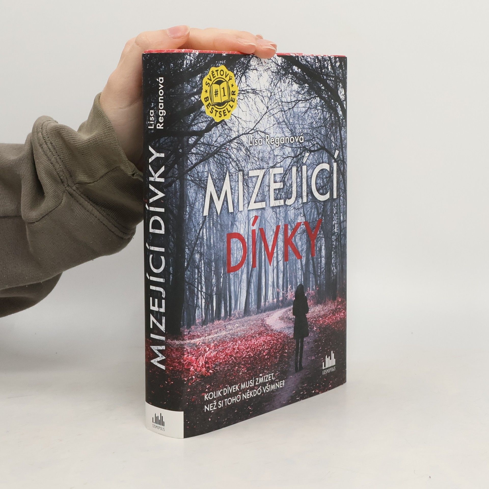 Lisa Regan Mizející dívky