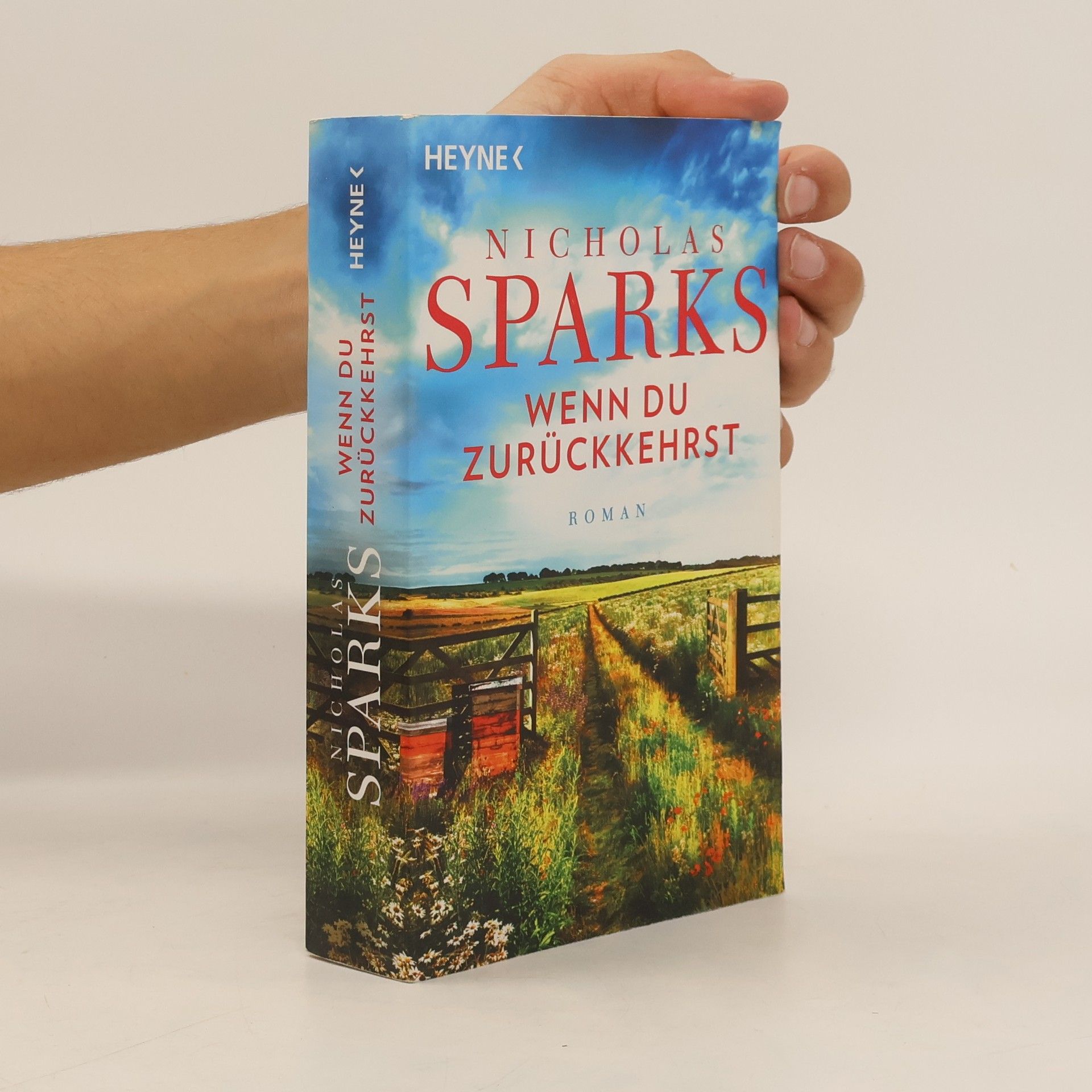 Nicholas Sparks Wenn du zurückkehrst