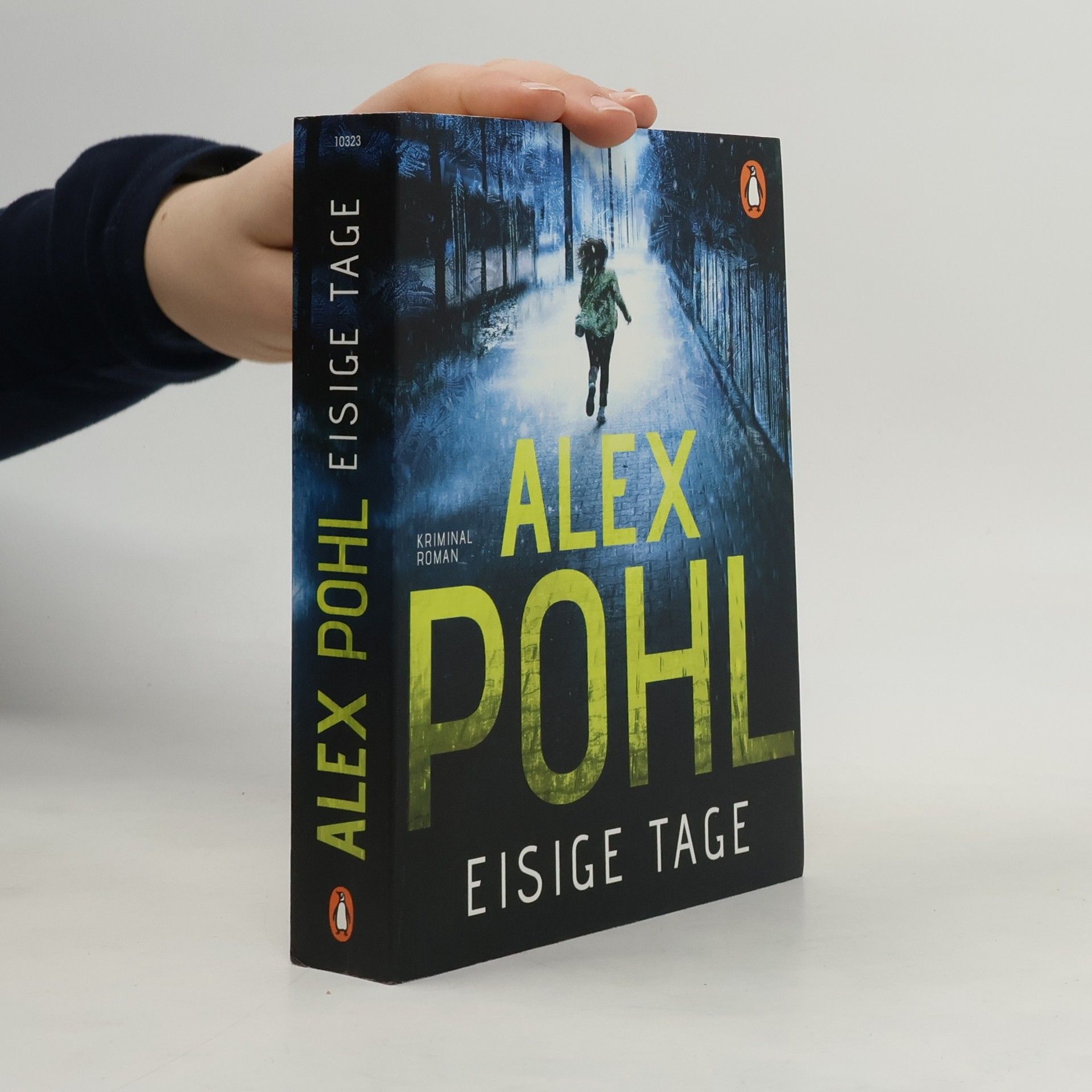 Alex Pohl Eisige Tage
