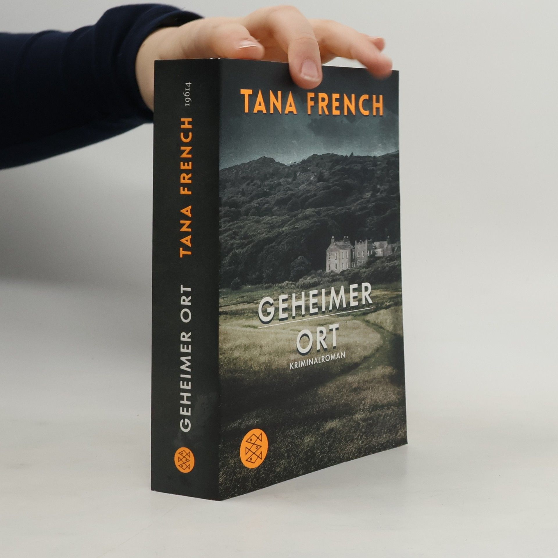 Tana French Geheimer Ort