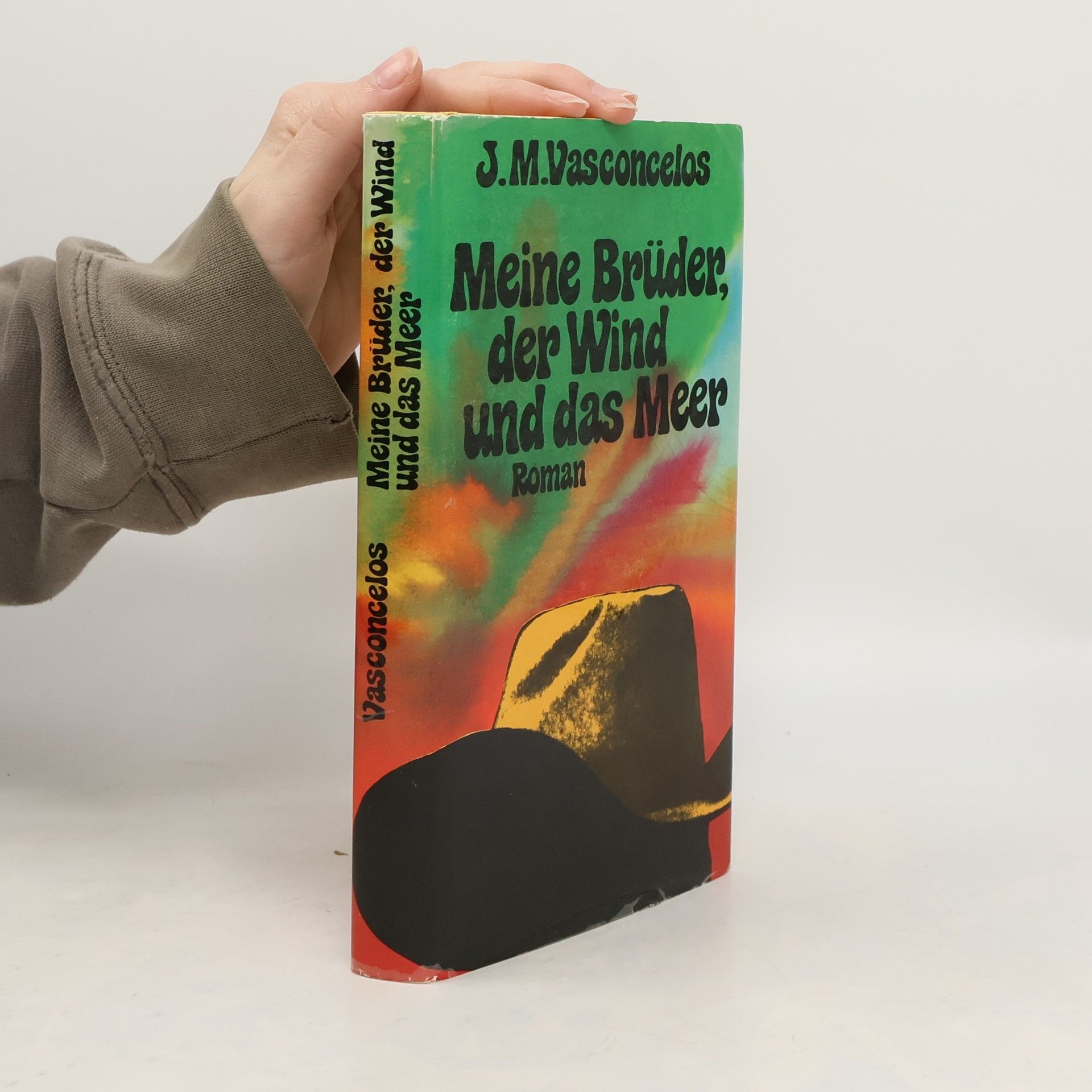 José Mauro de Vasconcelos Meine Brüder, der Wind und das Meer