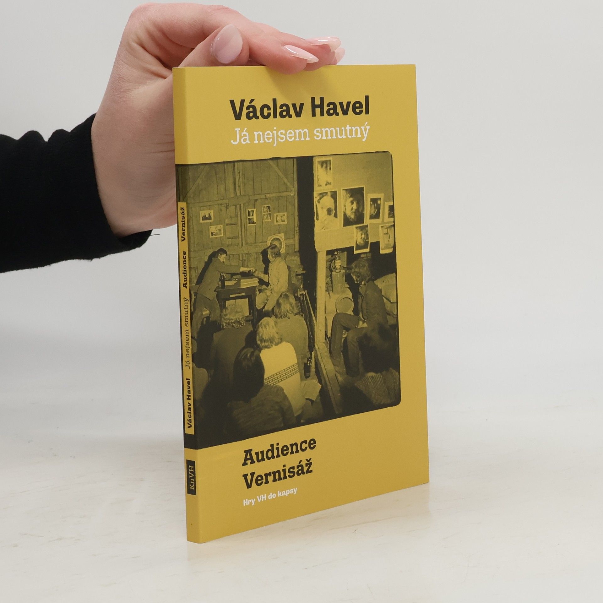 Václav Havel Já nejsem smutný: Audience, Vernisáž