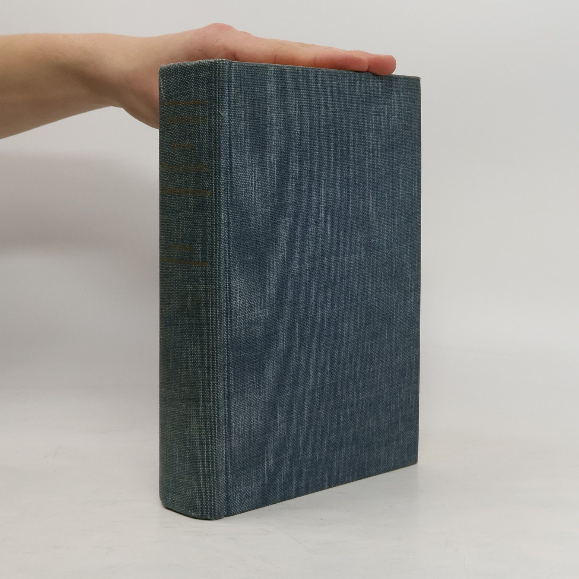 Kolektiv autorů Neues Wörterbuch der deutschen und portugiesischen Sprache 2